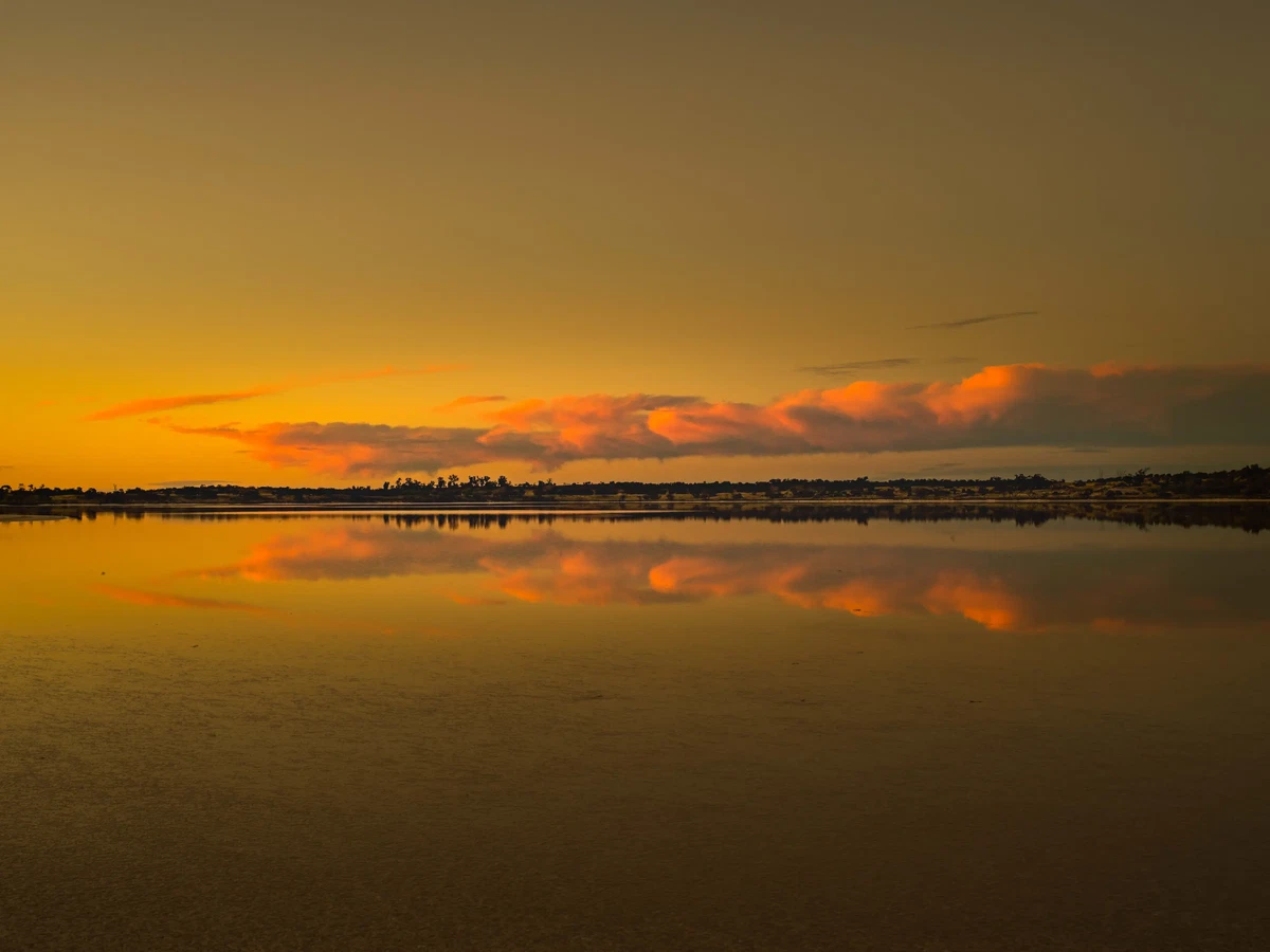 This Arid Land by Russell Curr