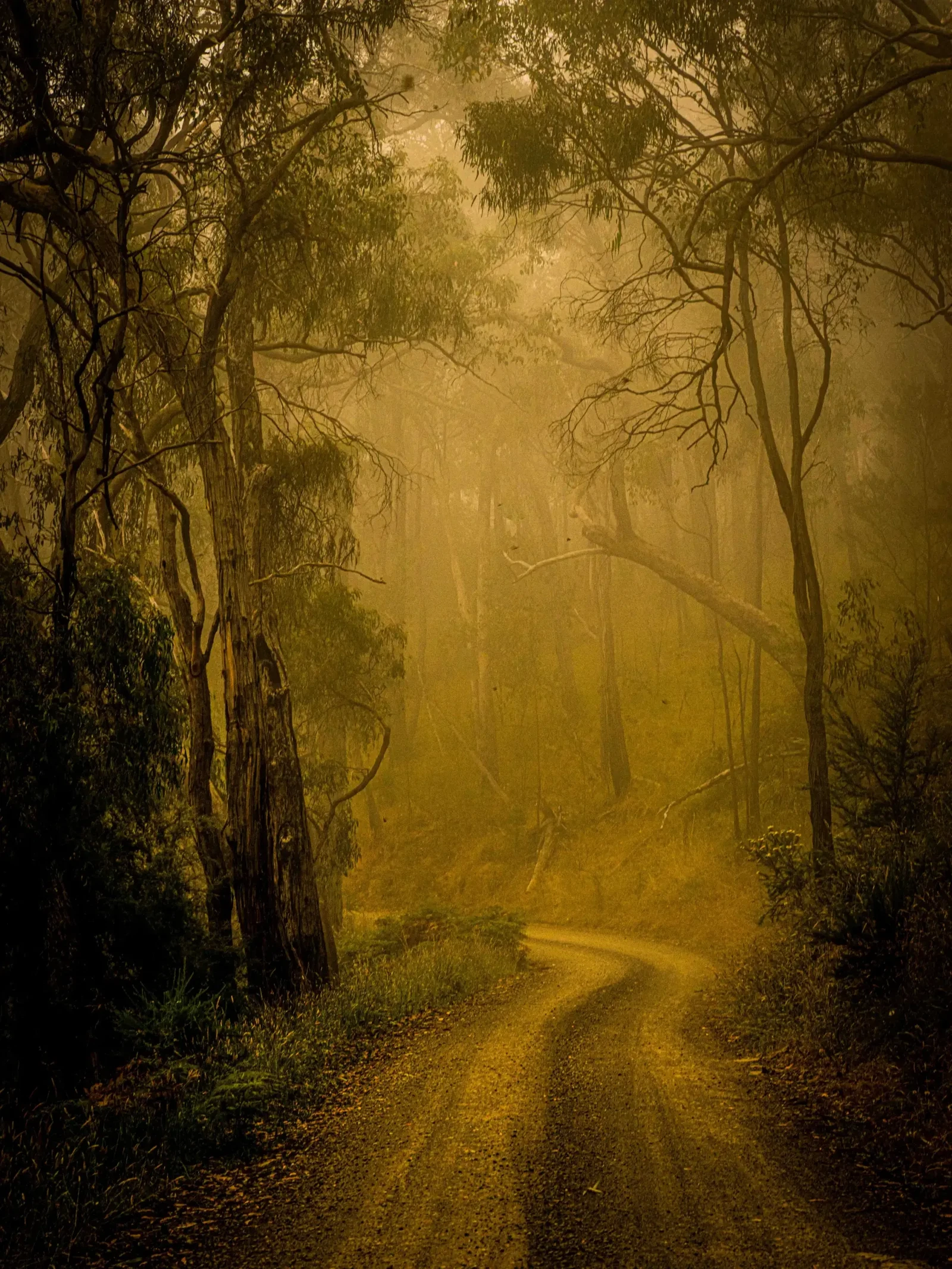 Photograph by Russell Curr