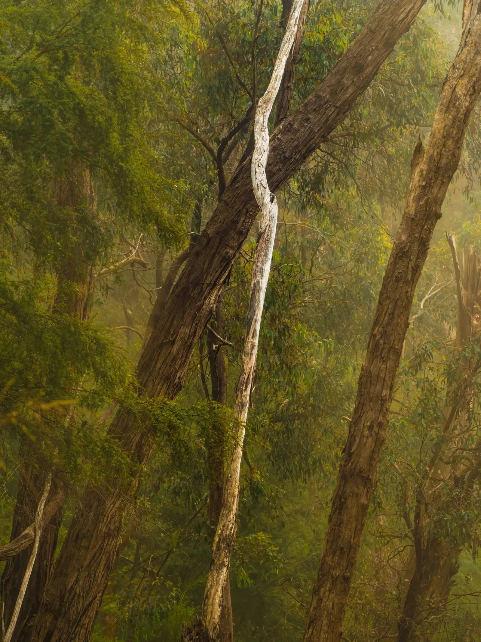 Photograph by Russell Curr