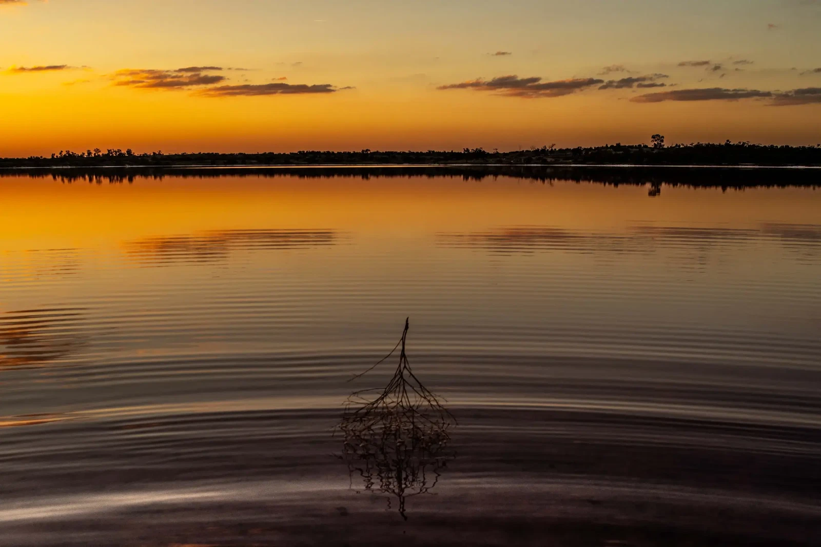 Salt Country by Russell Curr