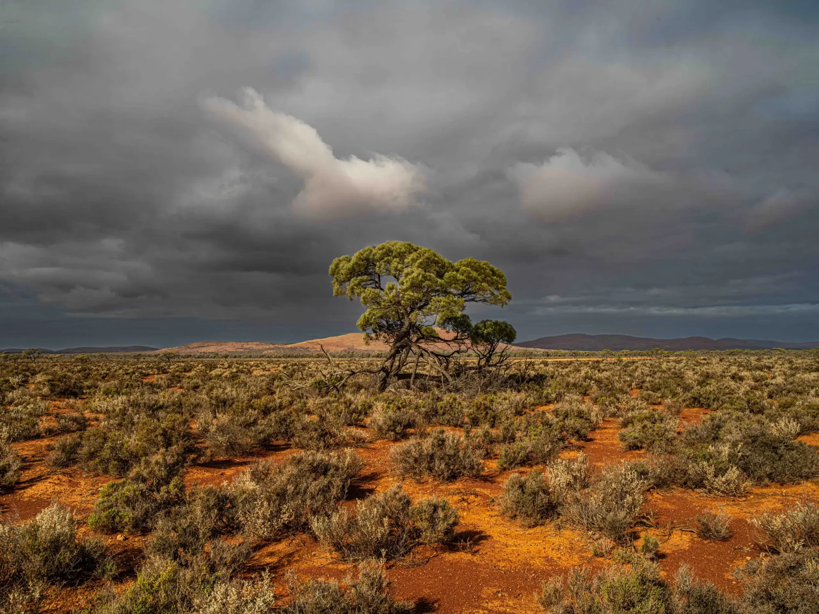 Photograph by Russell Curr
