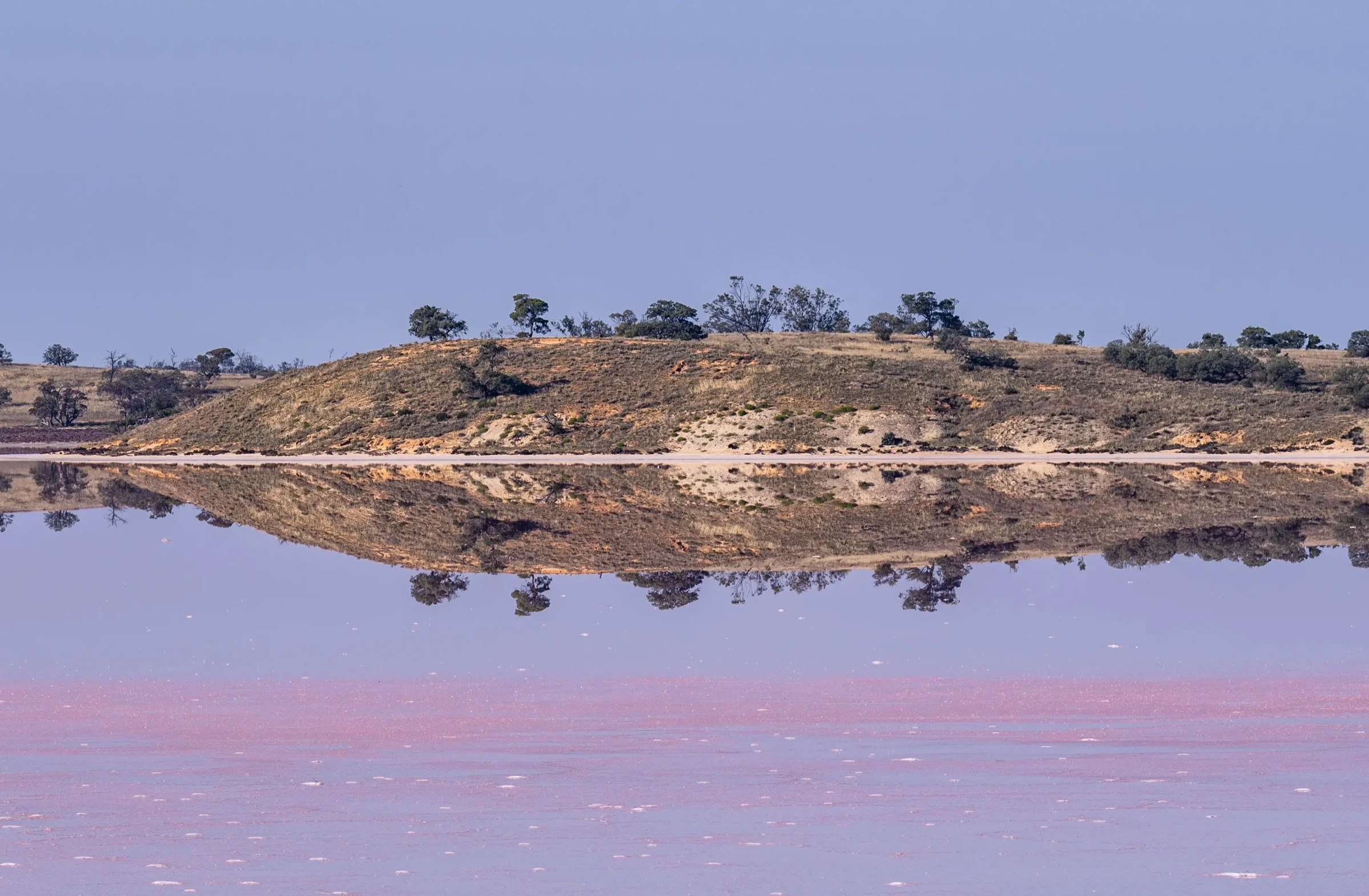 This Arid Land by Russell Curr