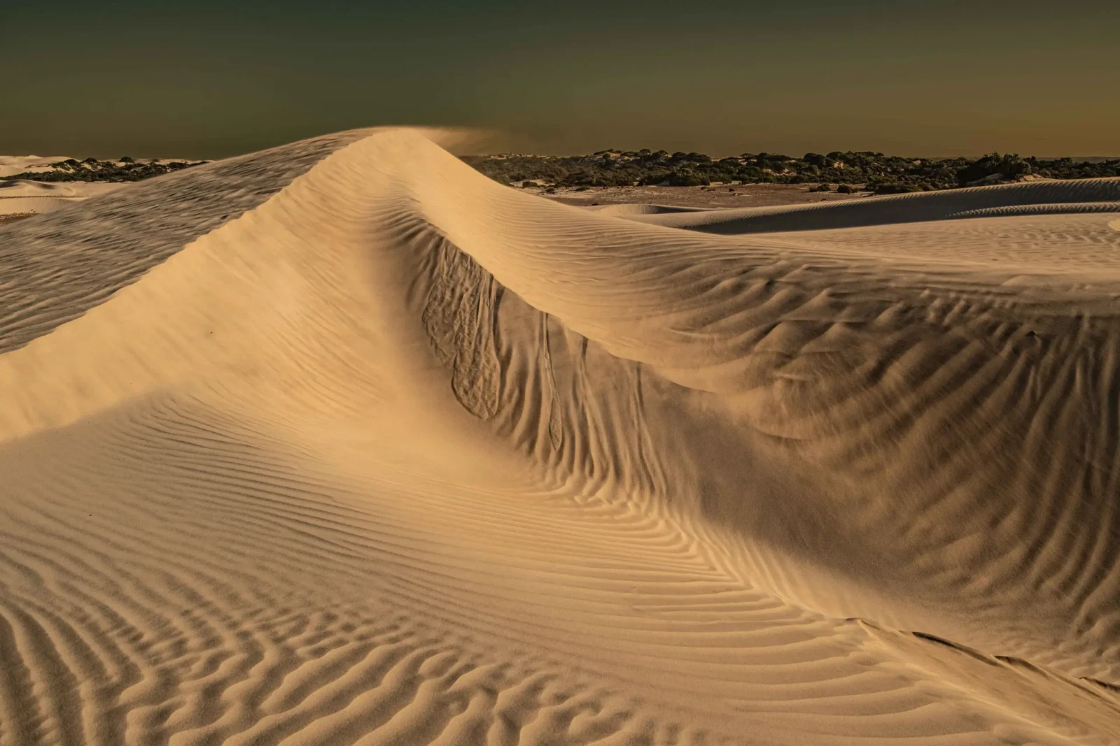Photograph by Russell Curr