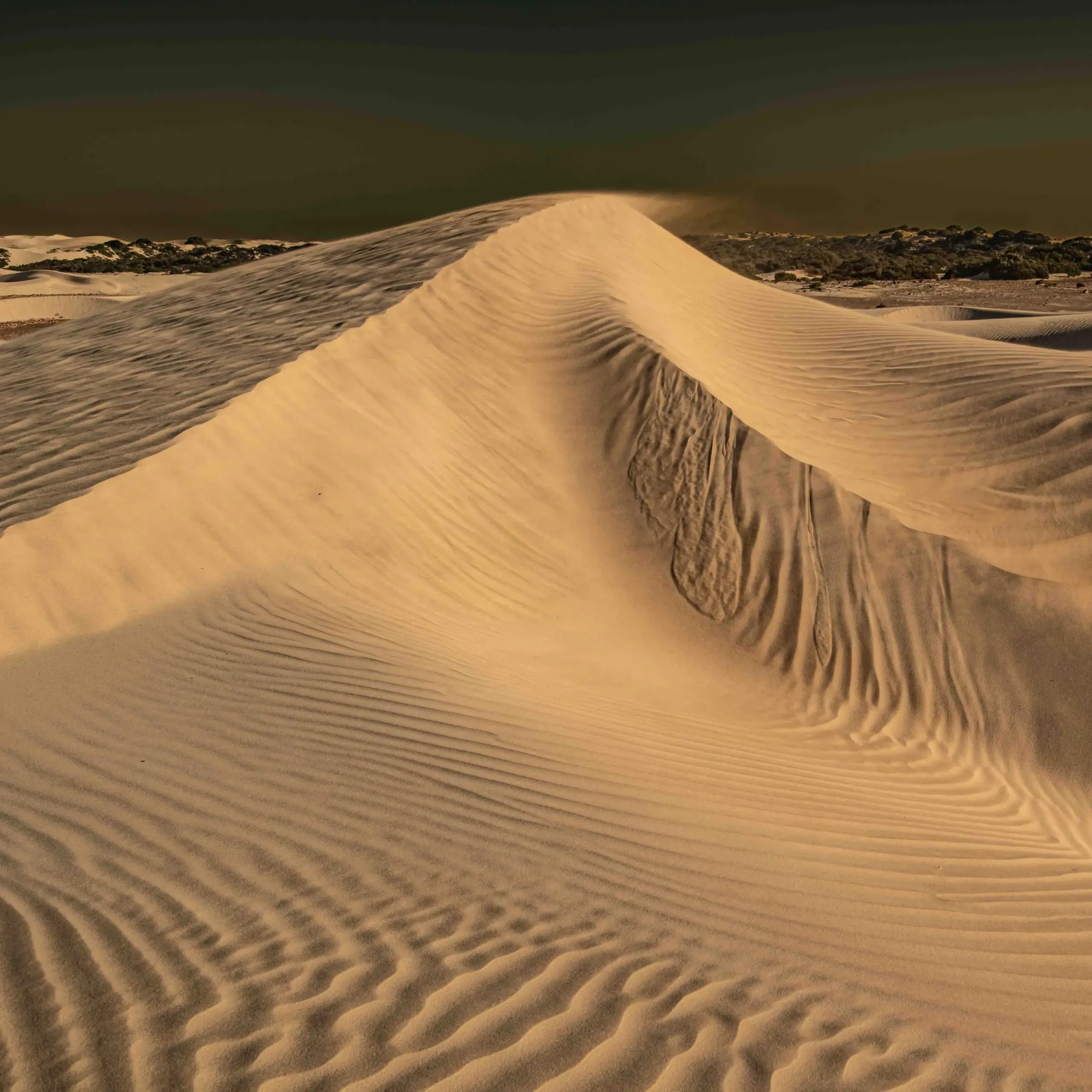 This Arid Land by Russell Curr