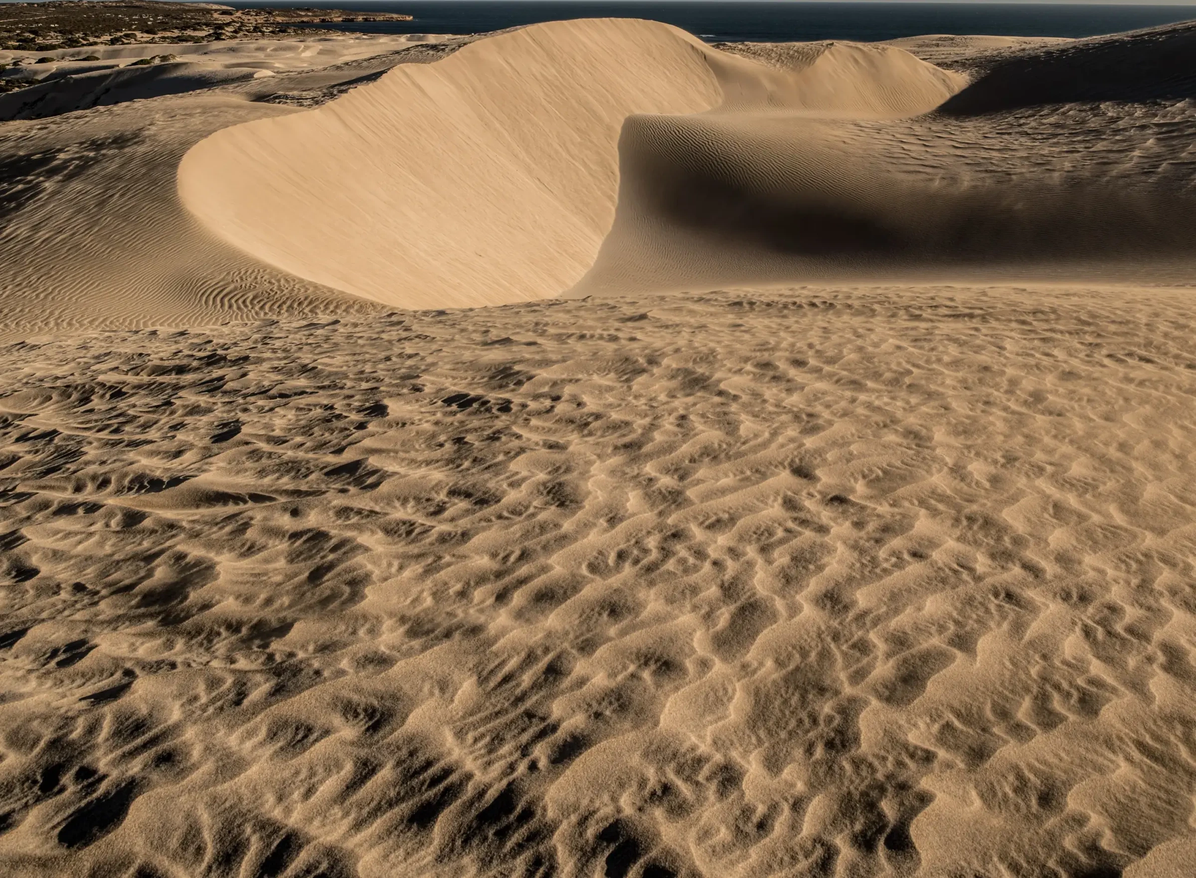 This Arid Land by Russell Curr