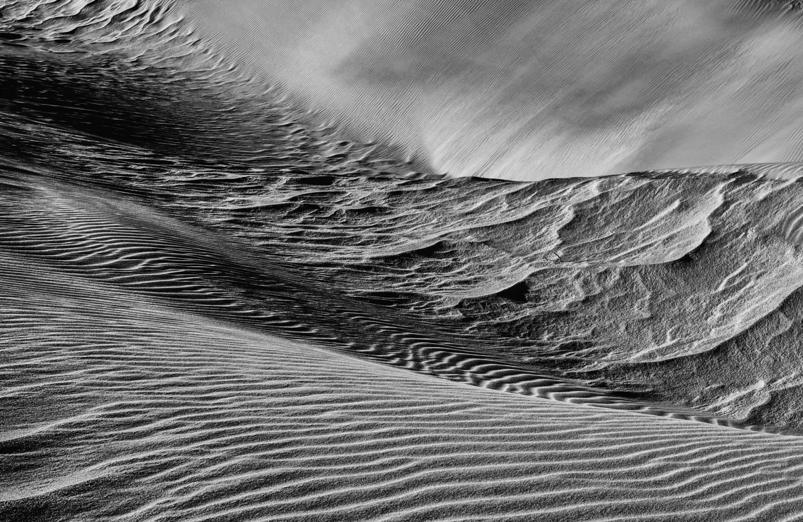 Shadows by Russell Curr