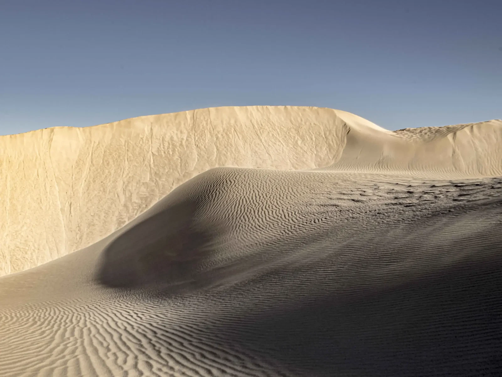 This Arid Land by Russell Curr