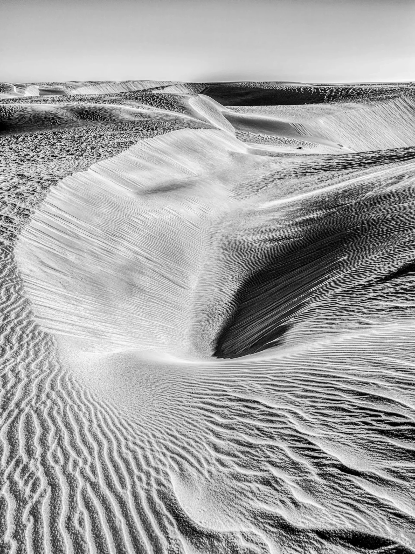 Monochrome by Russell Curr