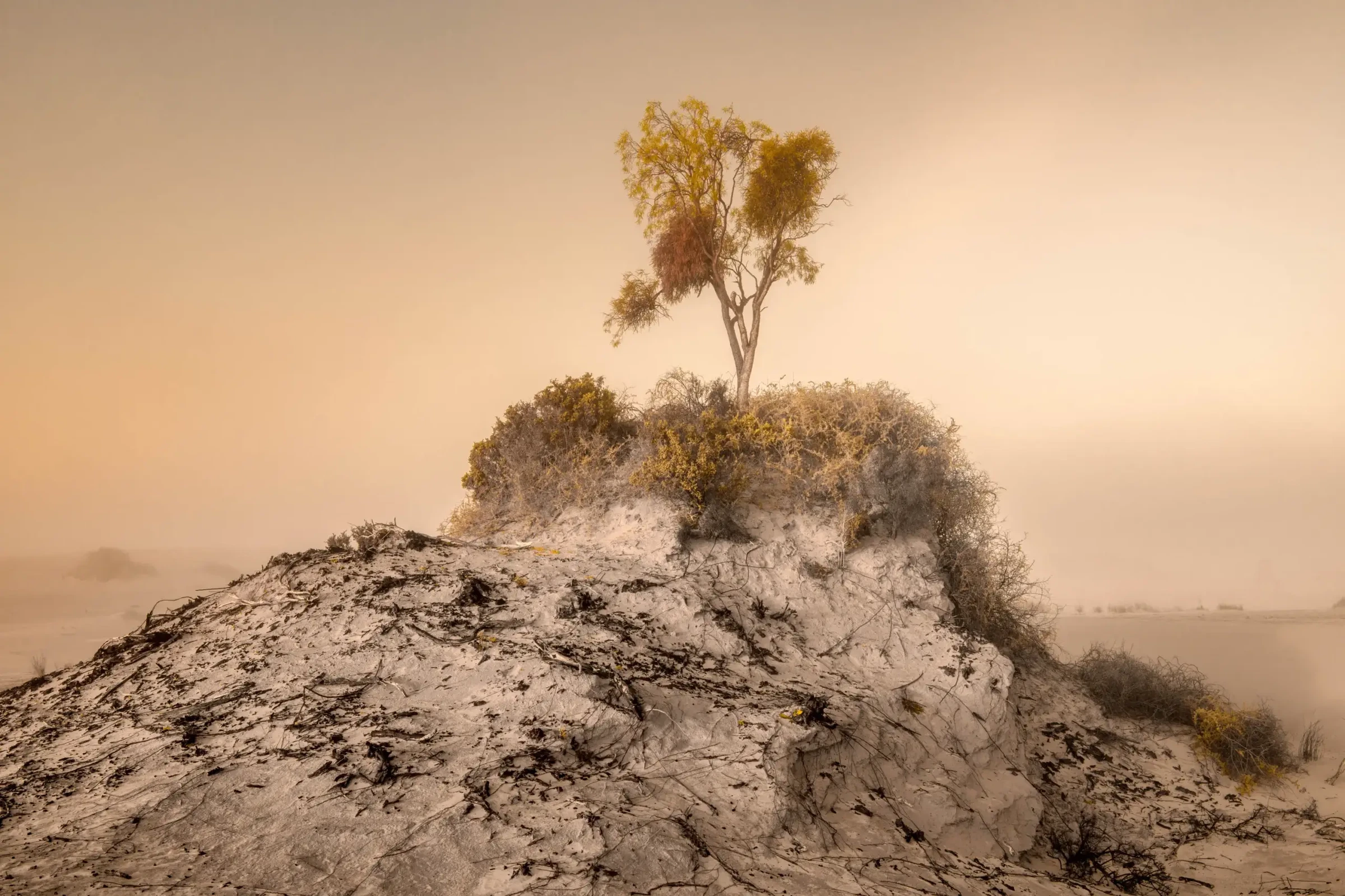 This Arid Land by Russell Curr