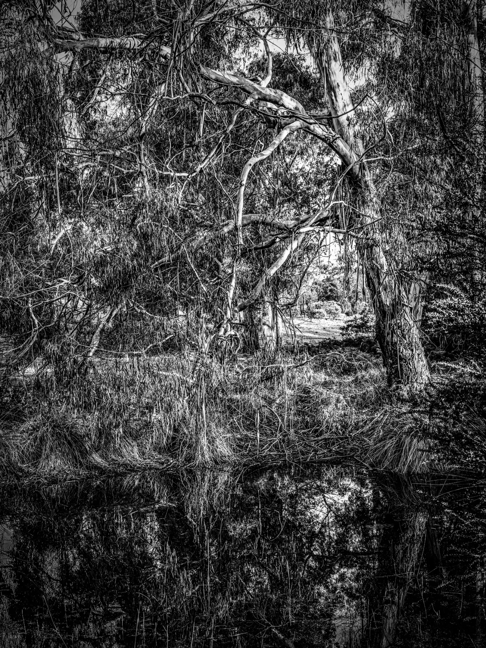 Monochrome by Russell Curr