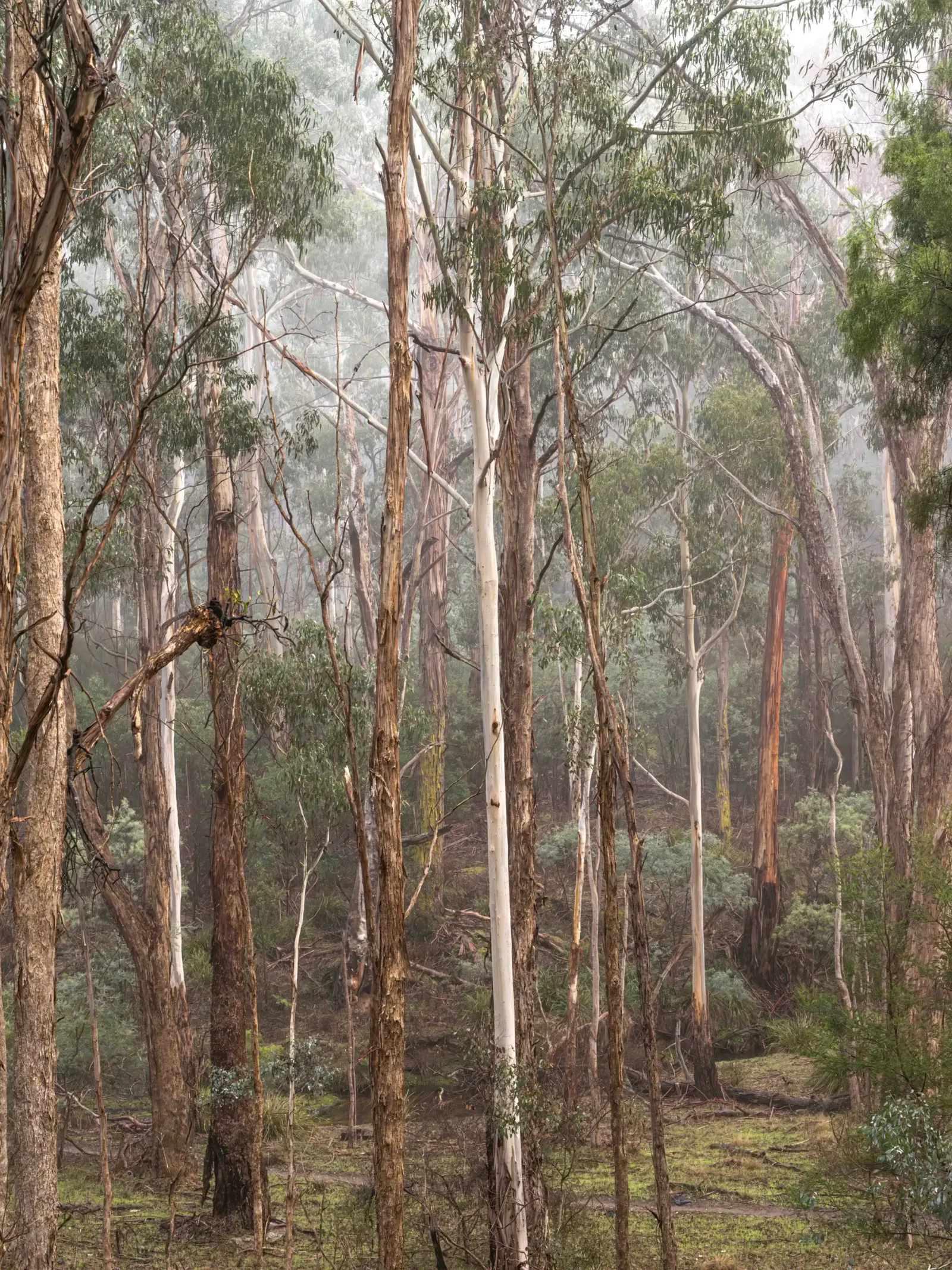 Photograph by Russell Curr
