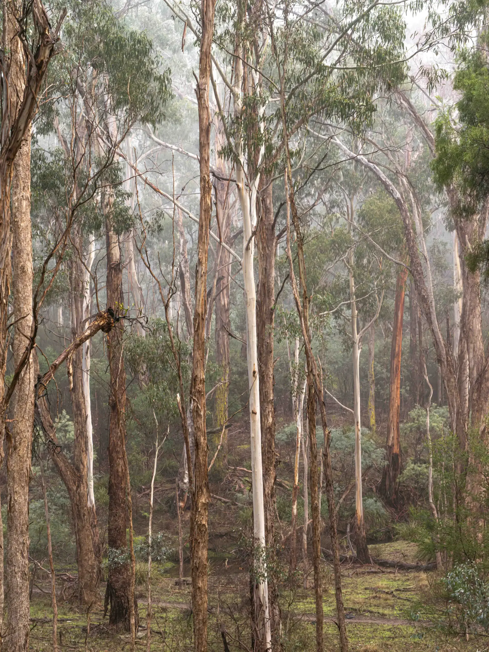 Photograph by Russell Curr