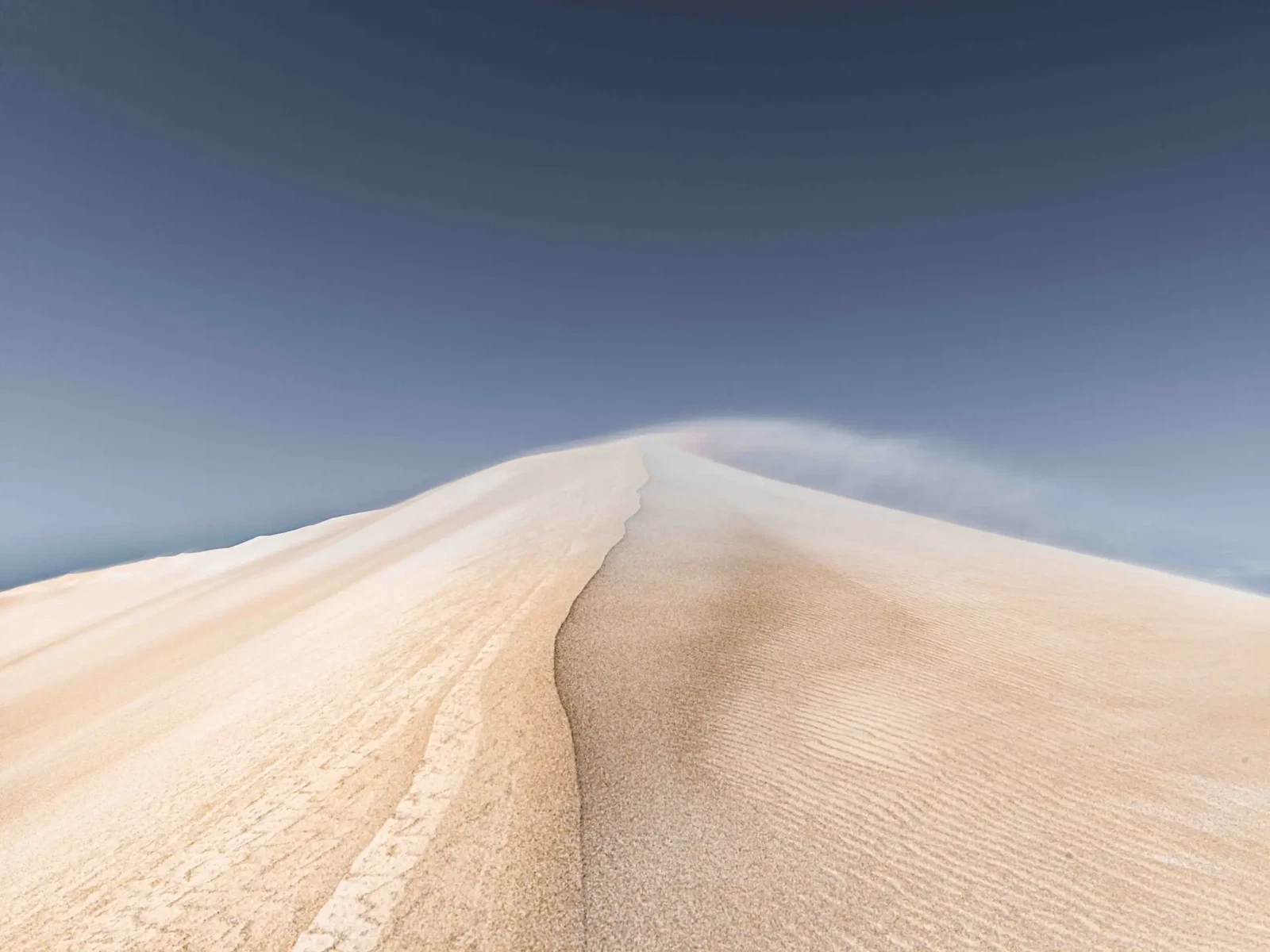 This Arid Land by Russell Curr