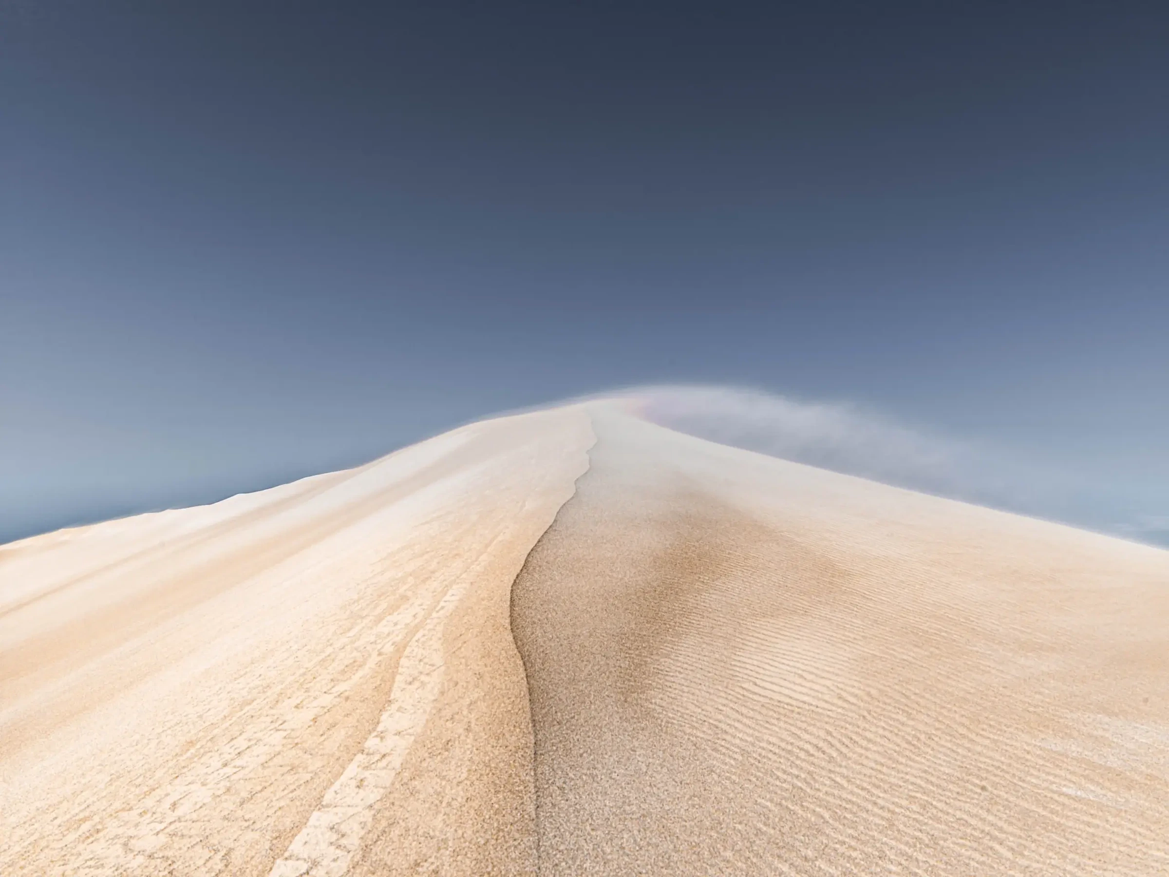This Arid Land by Russell Curr