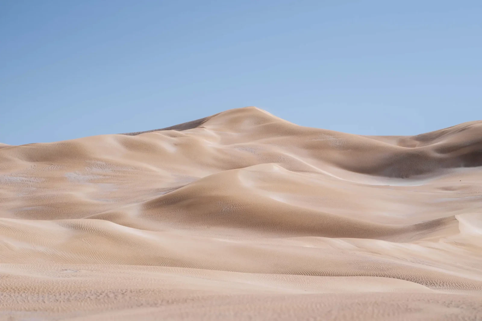 This Arid Land by Russell Curr