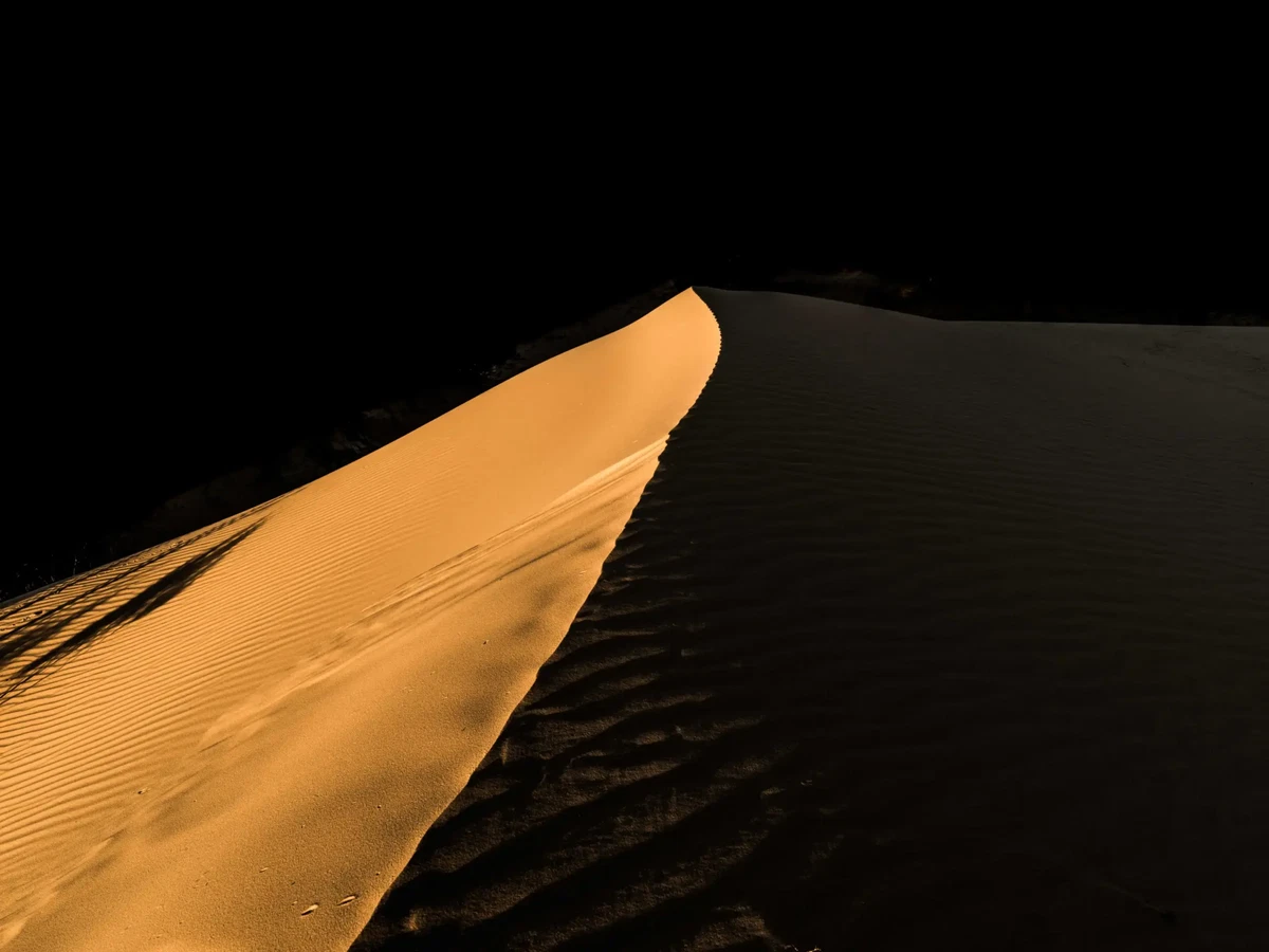 Shadows by Russell Curr