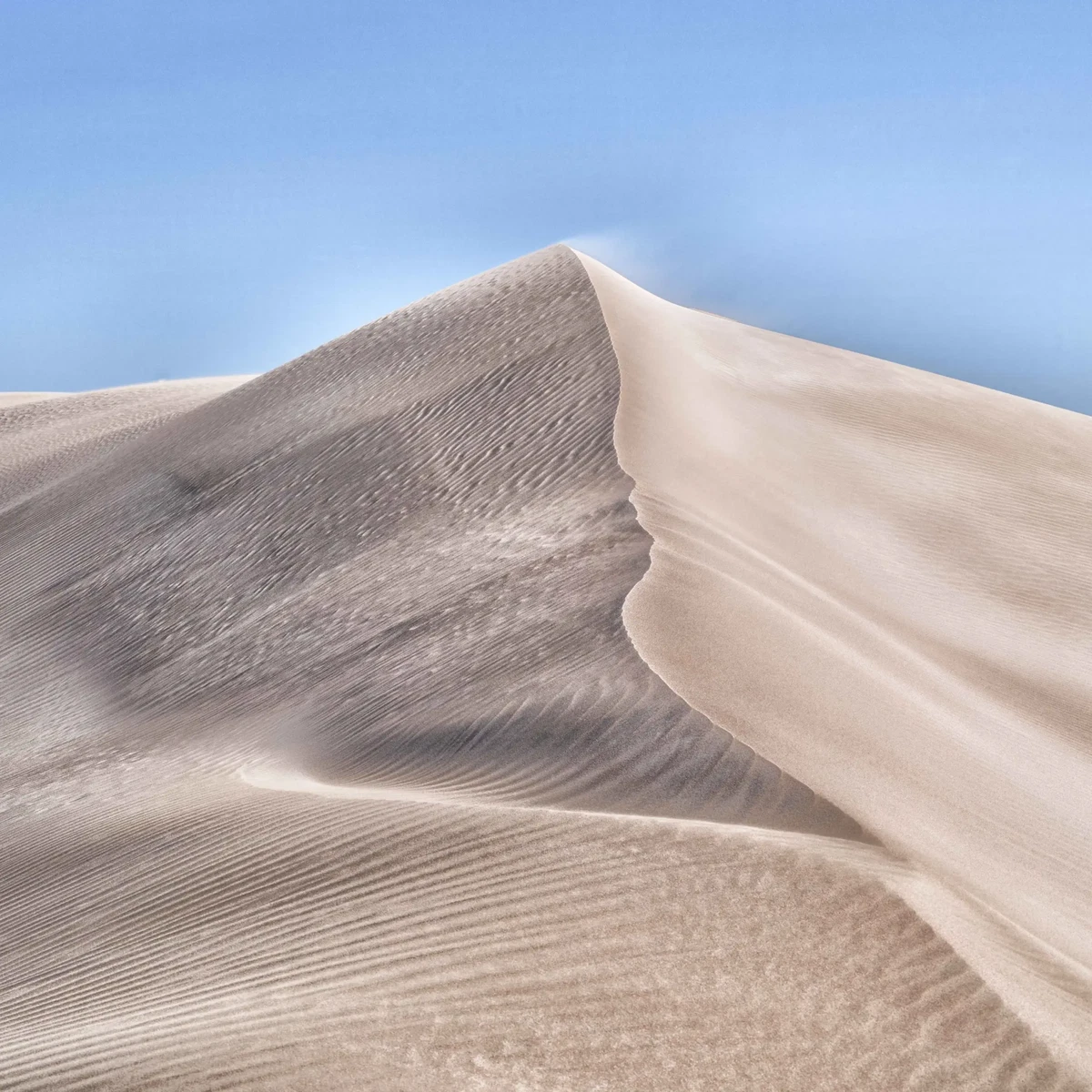 This Arid Land by Russell Curr