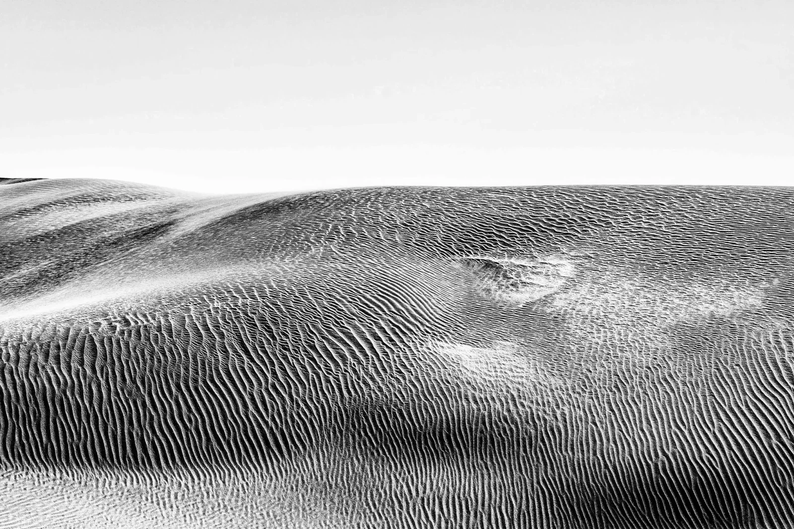 Monochrome by Russell Curr