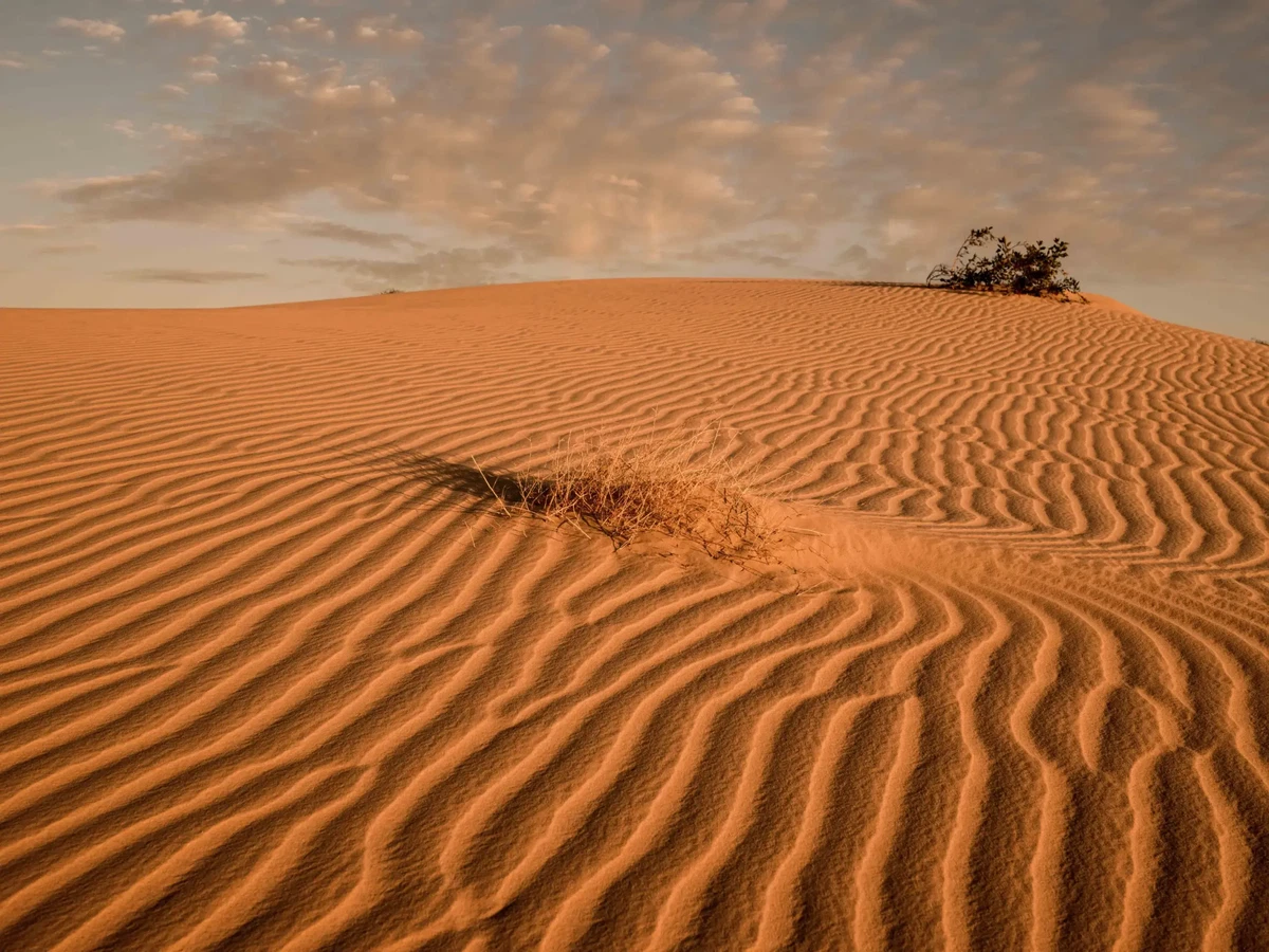 Shadows by Russell Curr