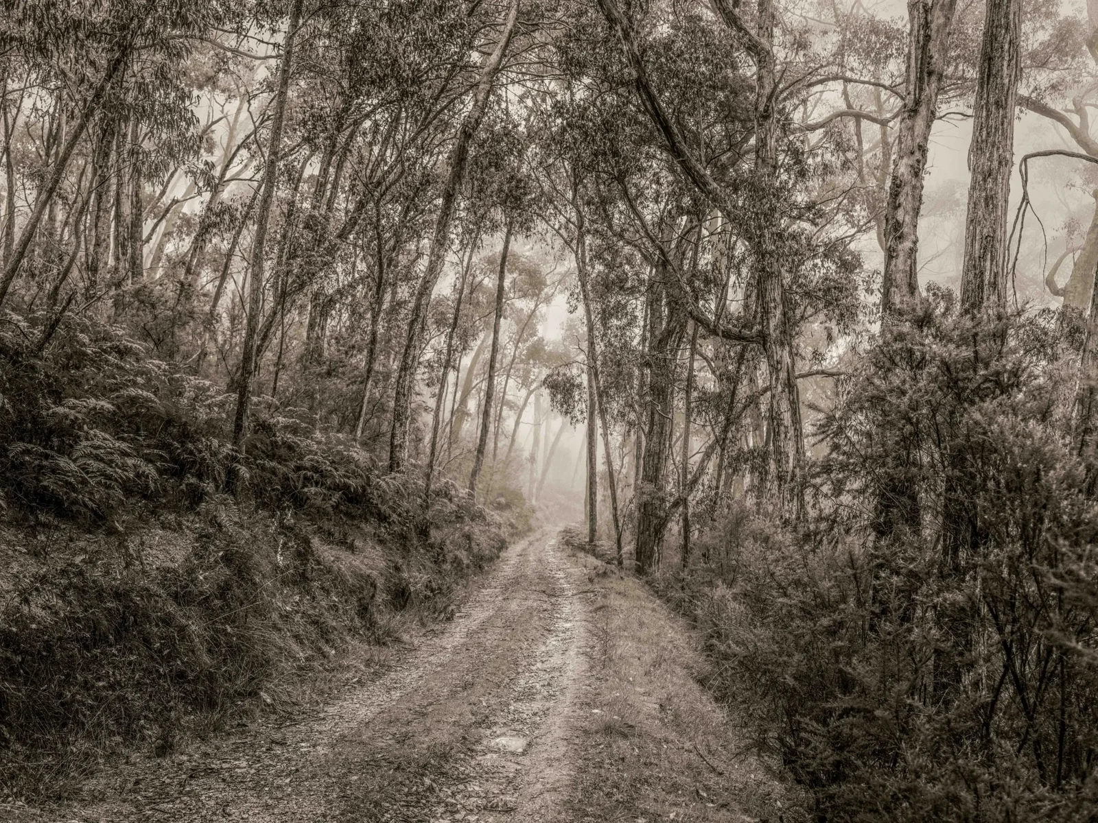 Monochrome by Russell Curr