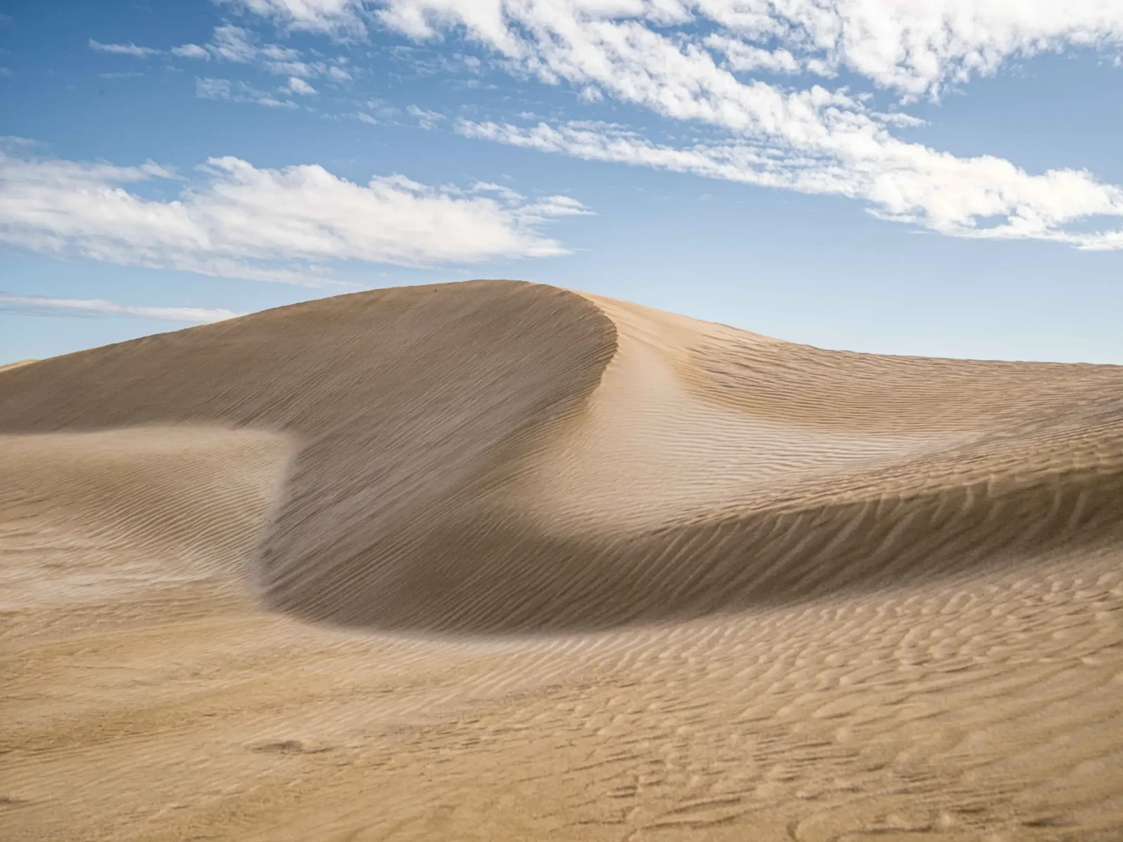 This Arid Land by Russell Curr