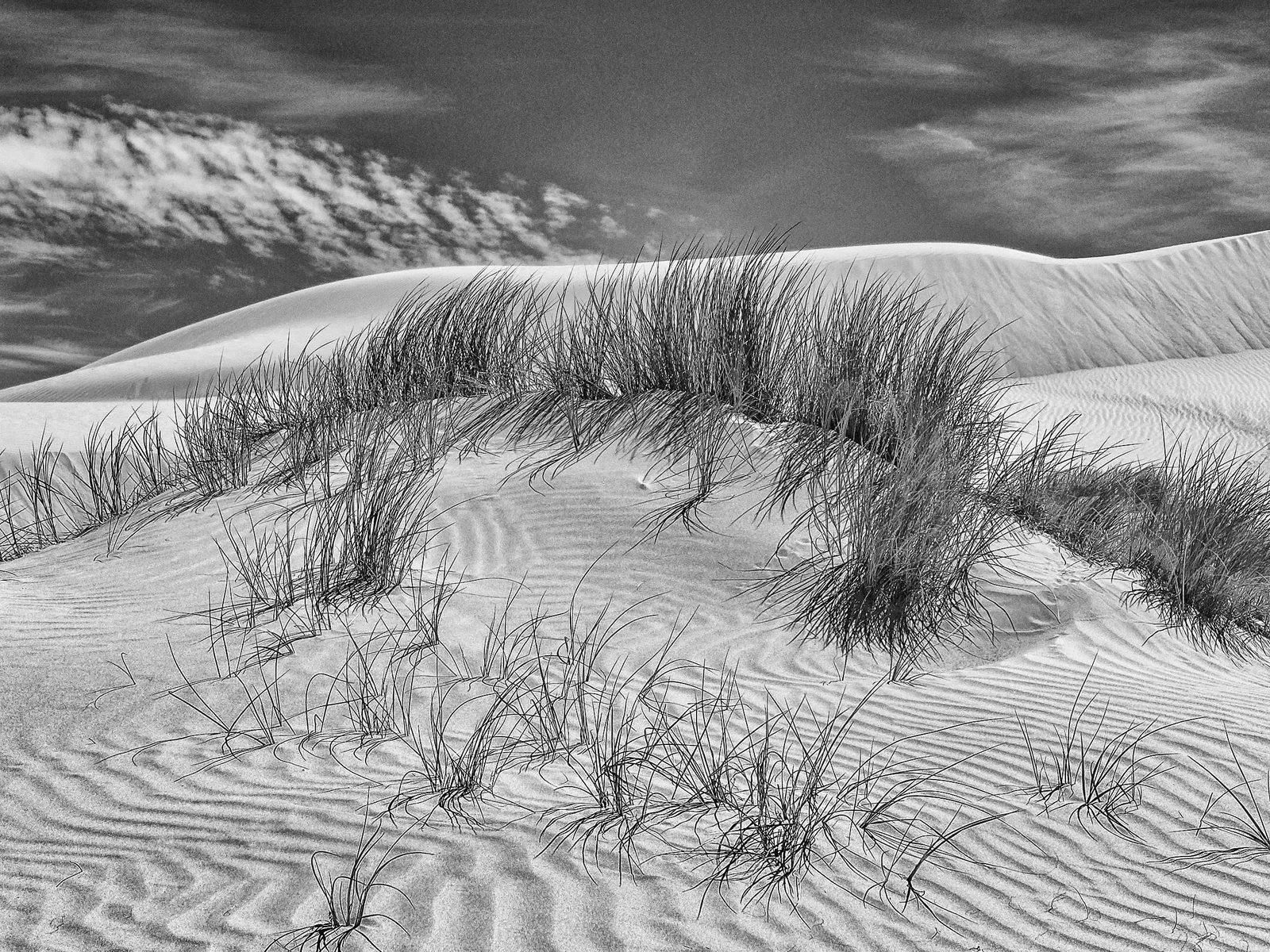 Monochrome by Russell Curr
