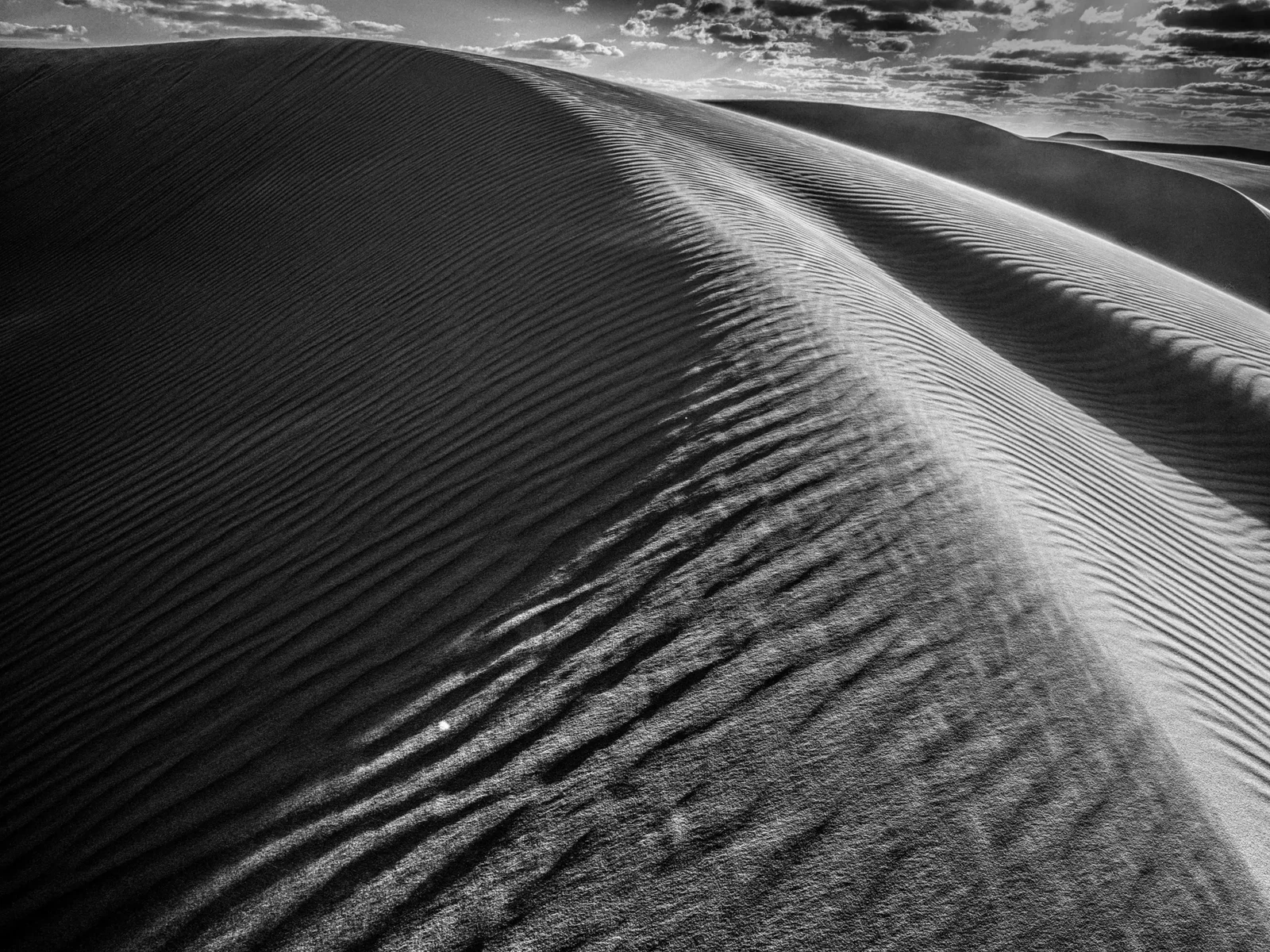 Shadows by Russell Curr