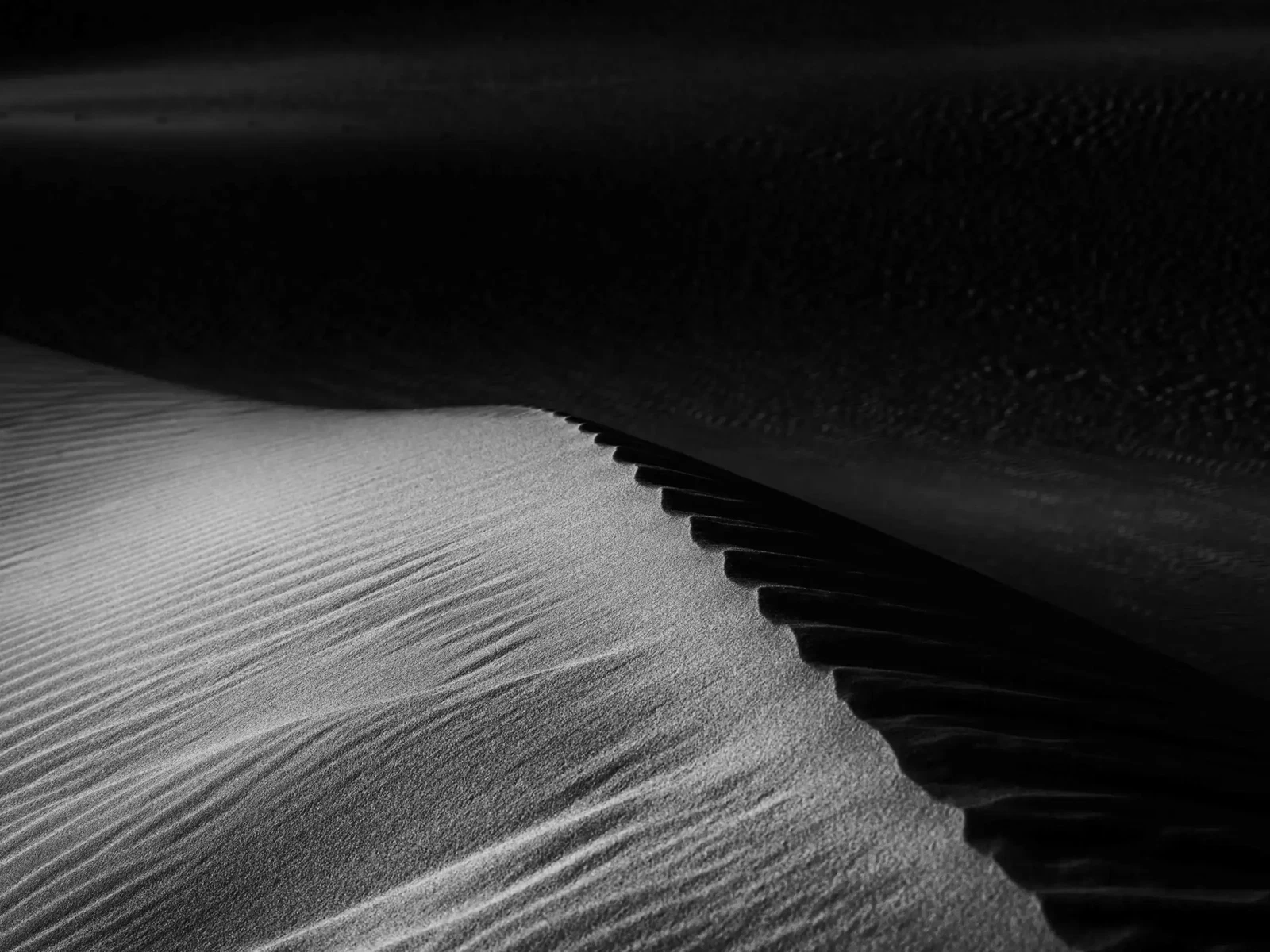 Shadows by Russell Curr