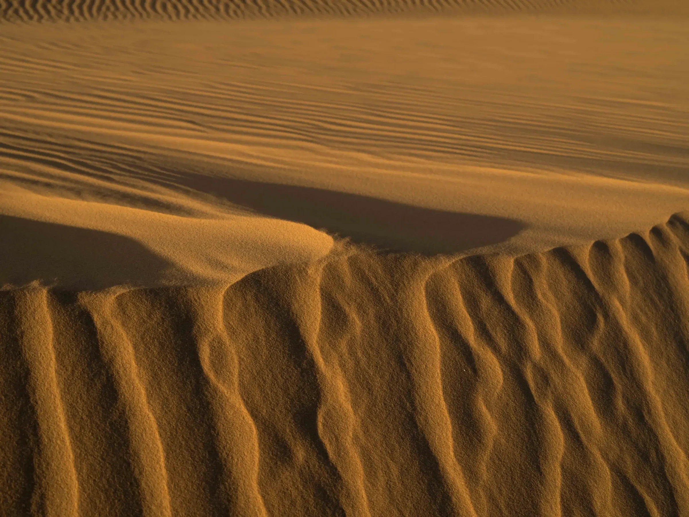 Shadows by Russell Curr
