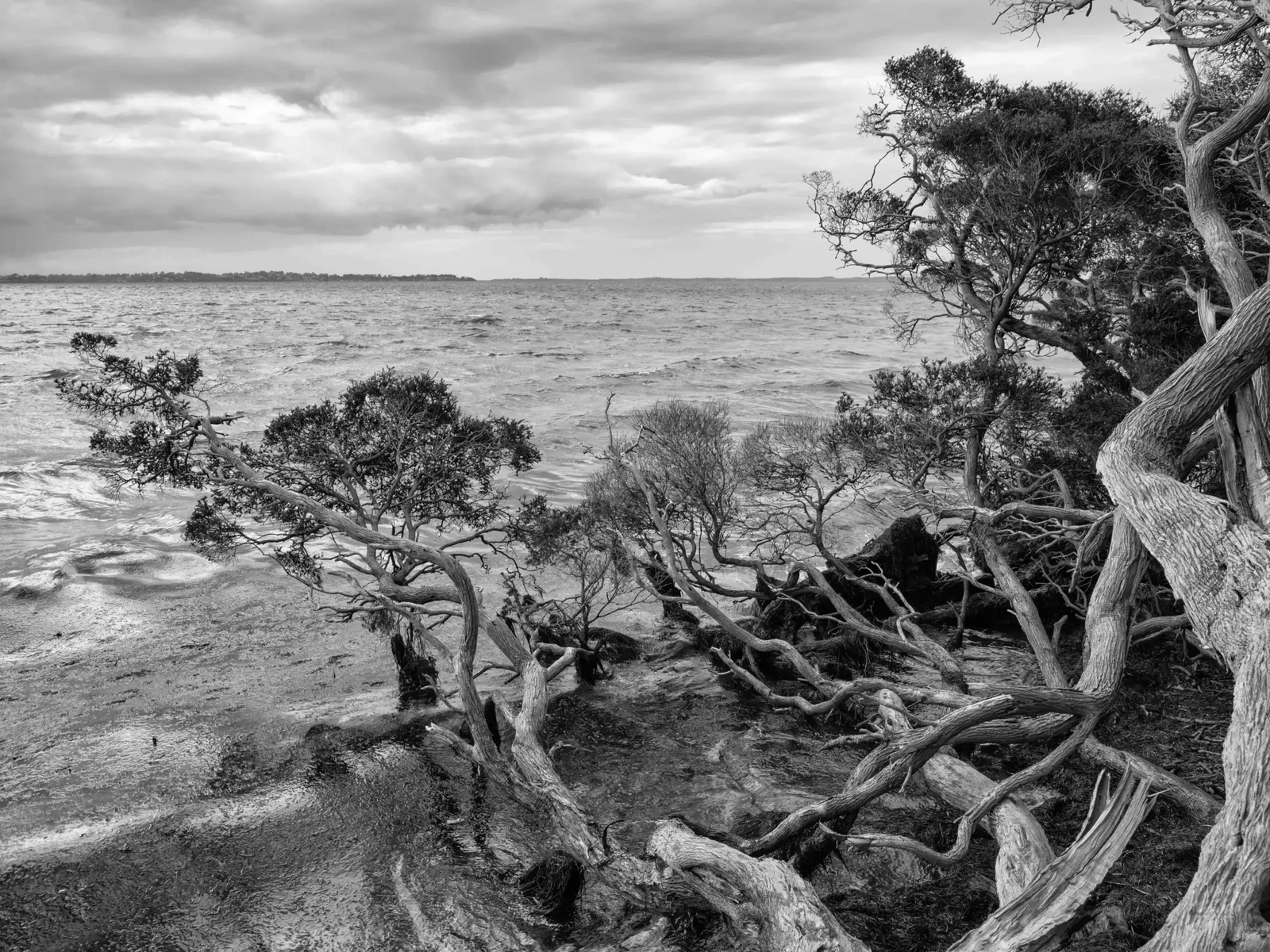 Monochrome by Russell Curr