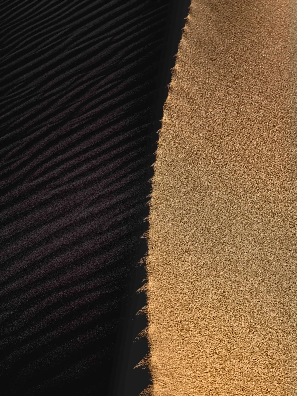 Shadows by Russell Curr
