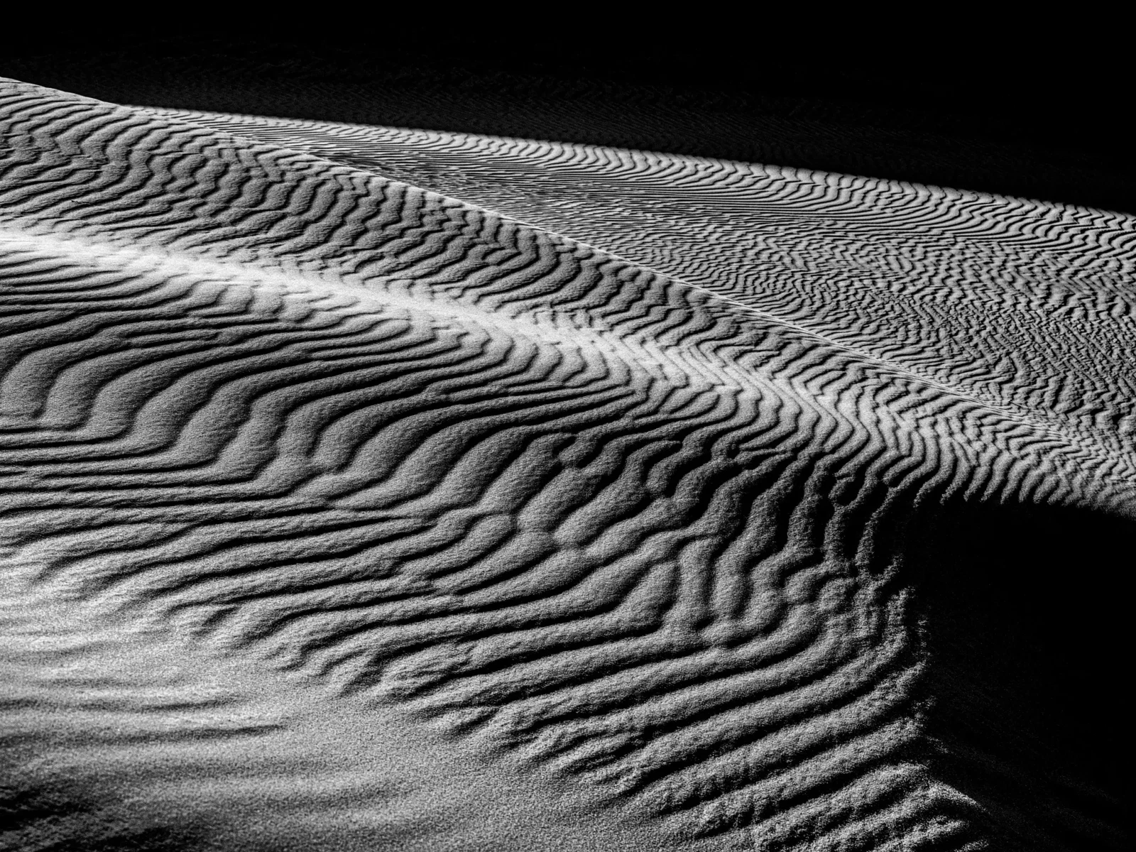 Shadows by Russell Curr