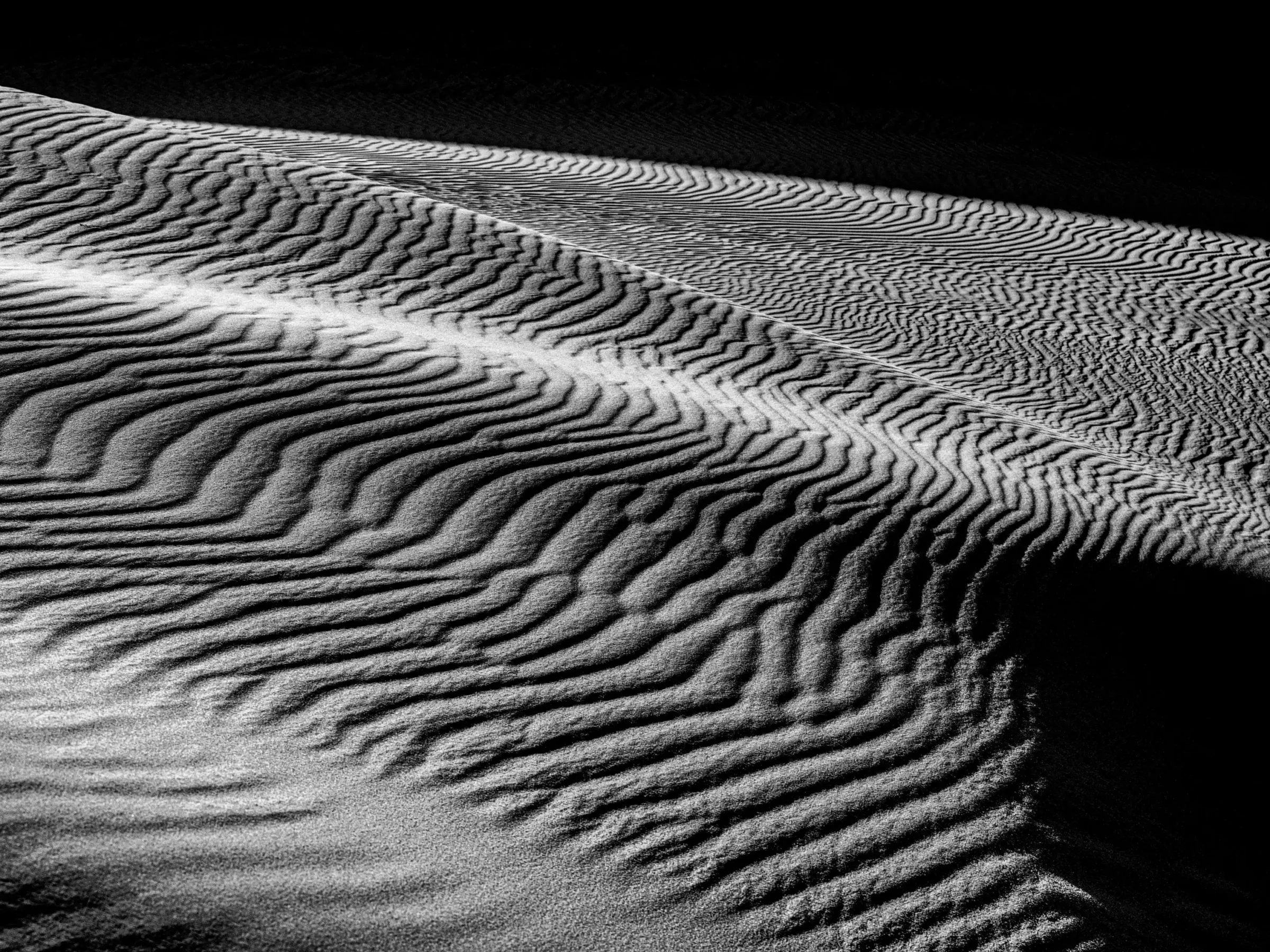 Shadows by Russell Curr