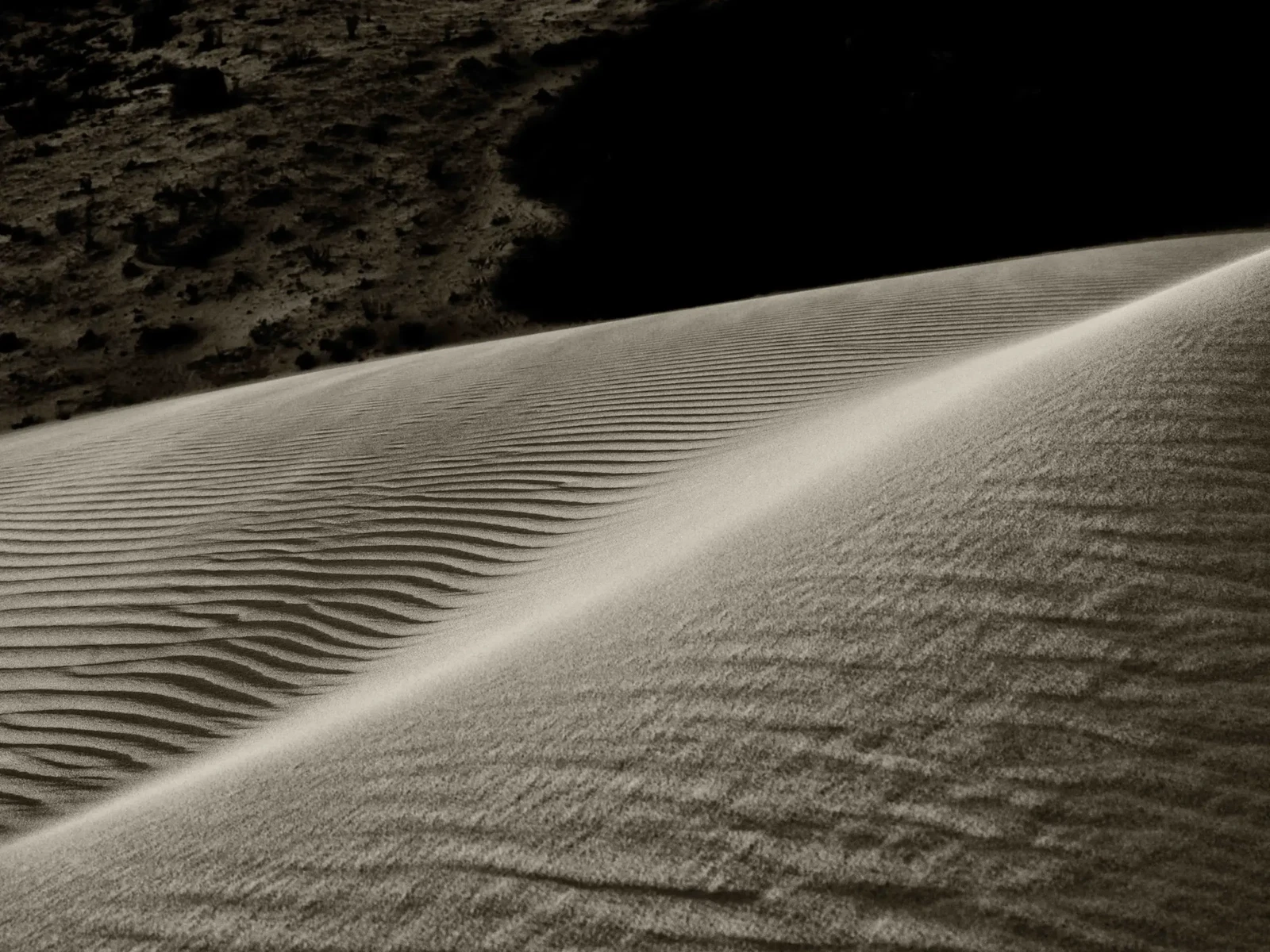Shadows by Russell Curr