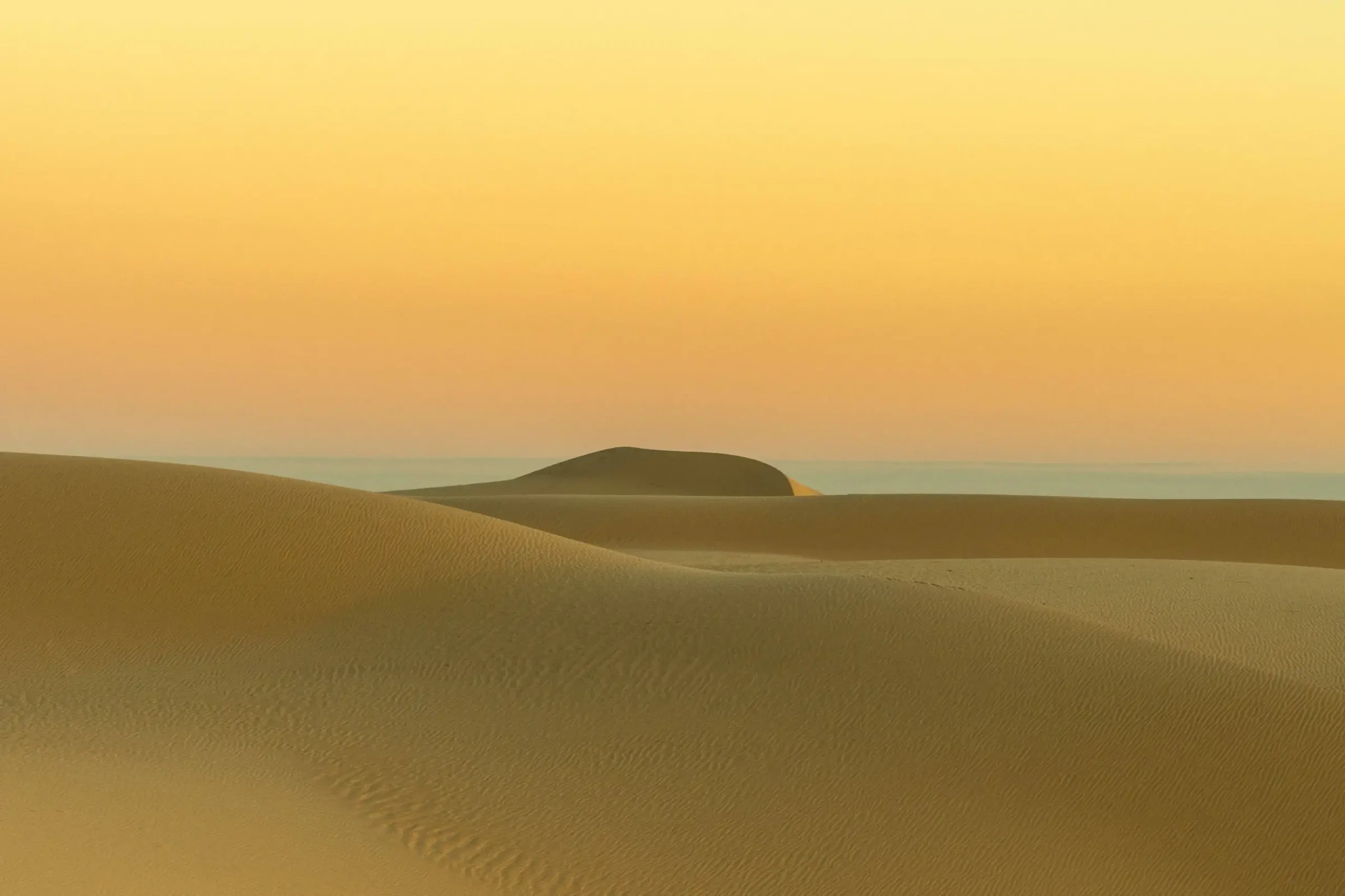 Photograph by Russell Curr