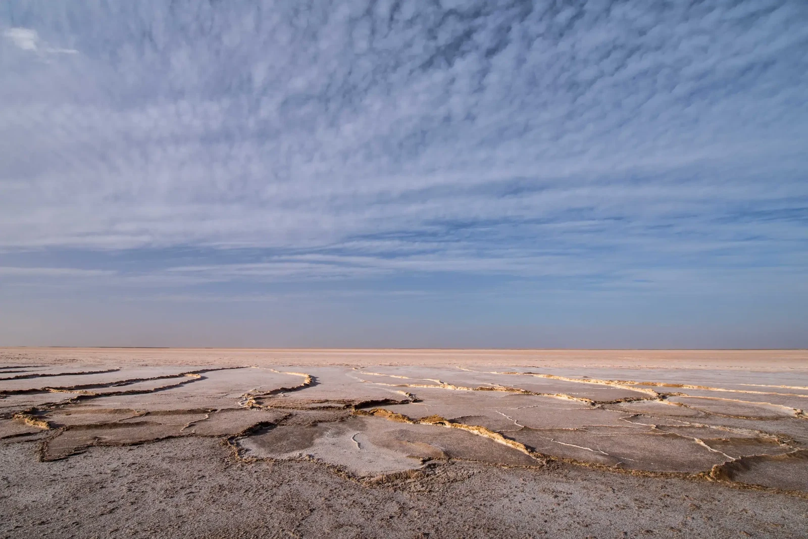 This Arid Land by Russell Curr