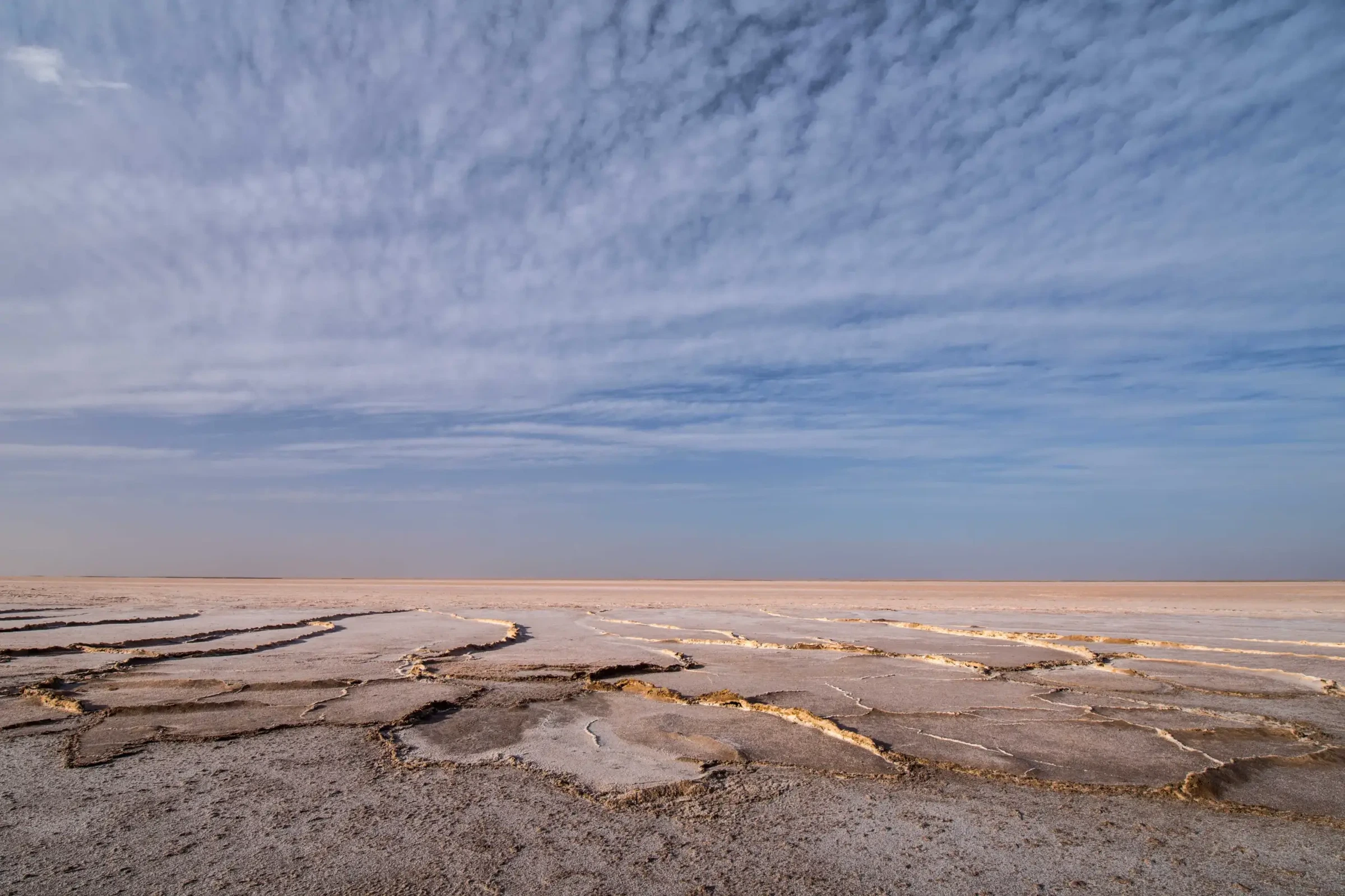 This Arid Land by Russell Curr