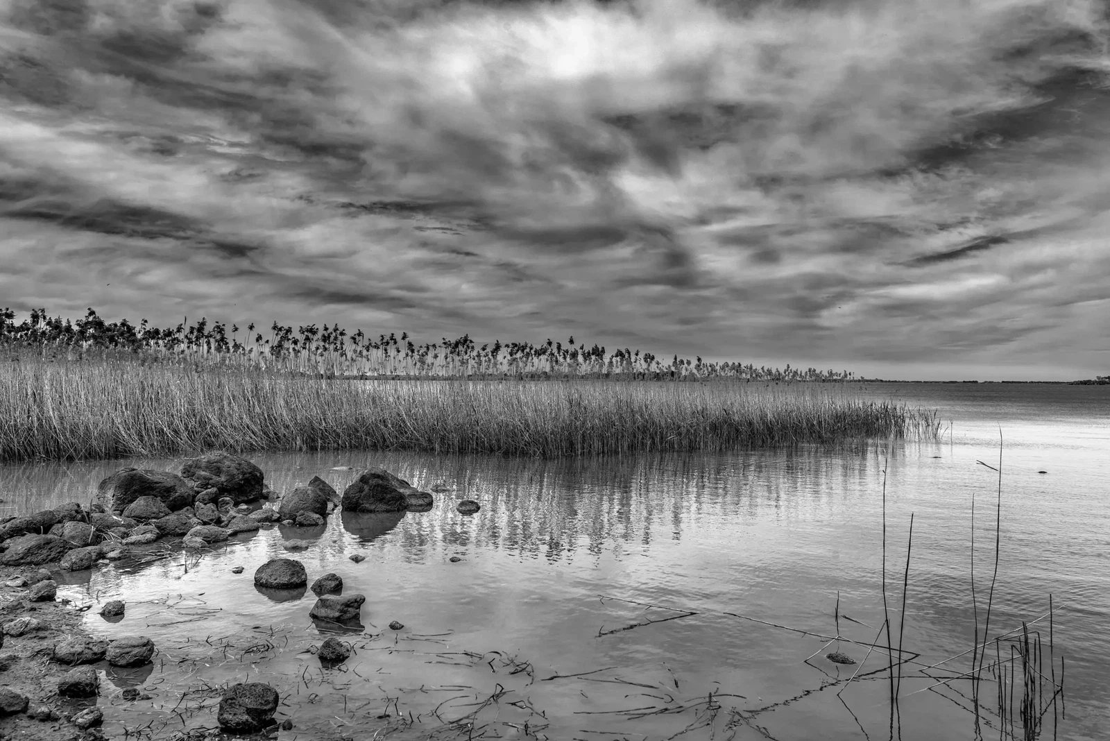 Monochrome by Russell Curr