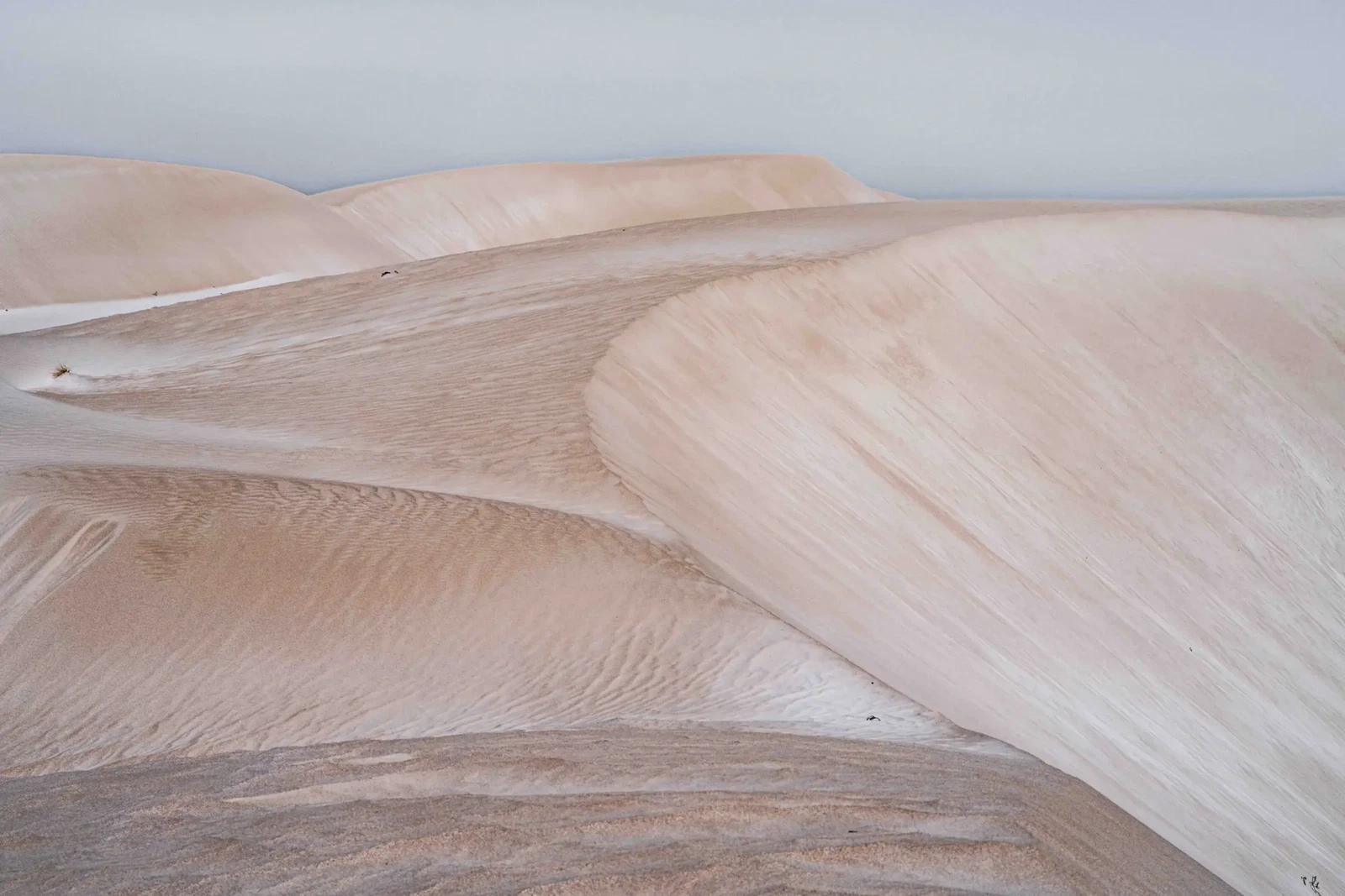 This Arid Land by Russell Curr