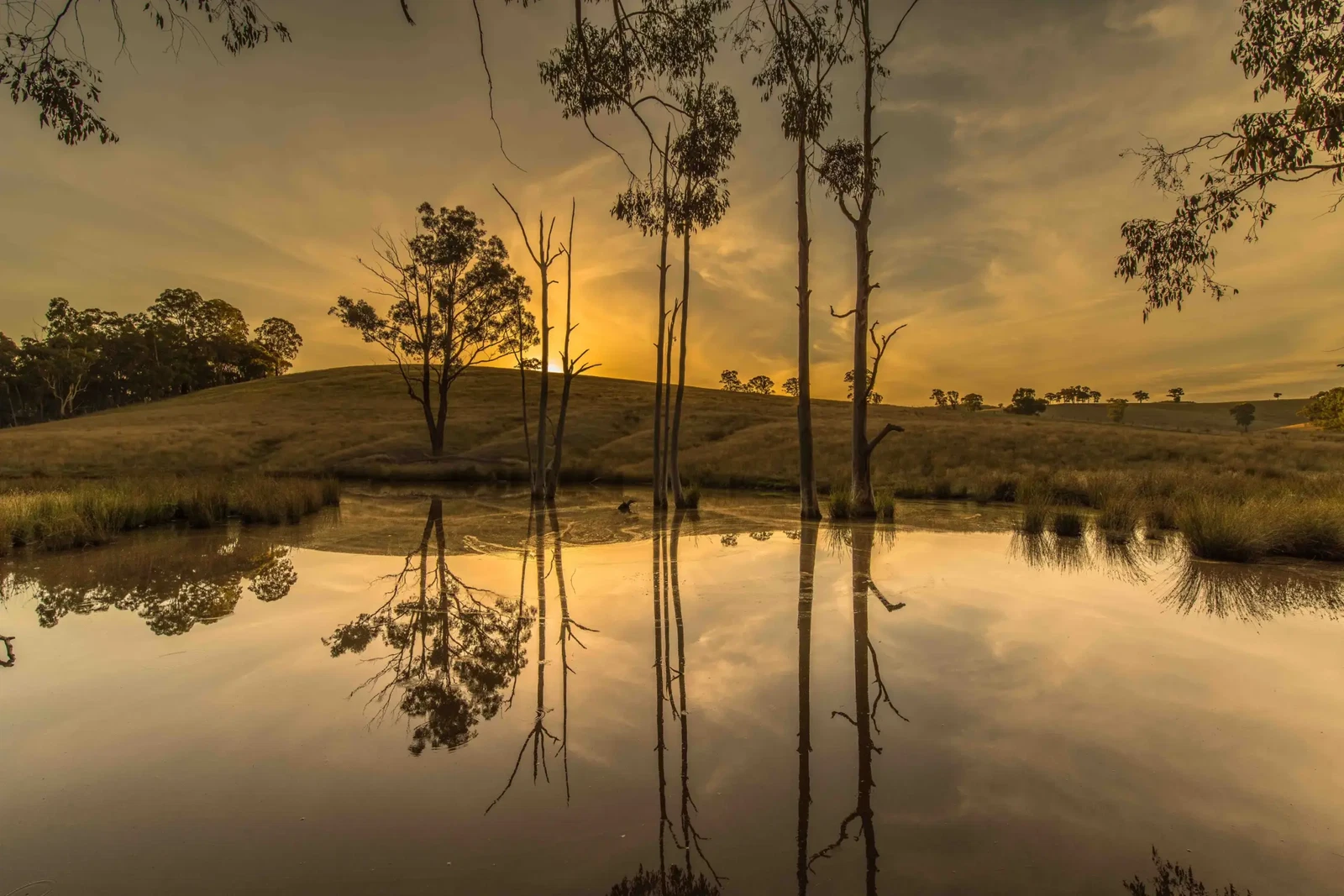 Photograph by Russell Curr