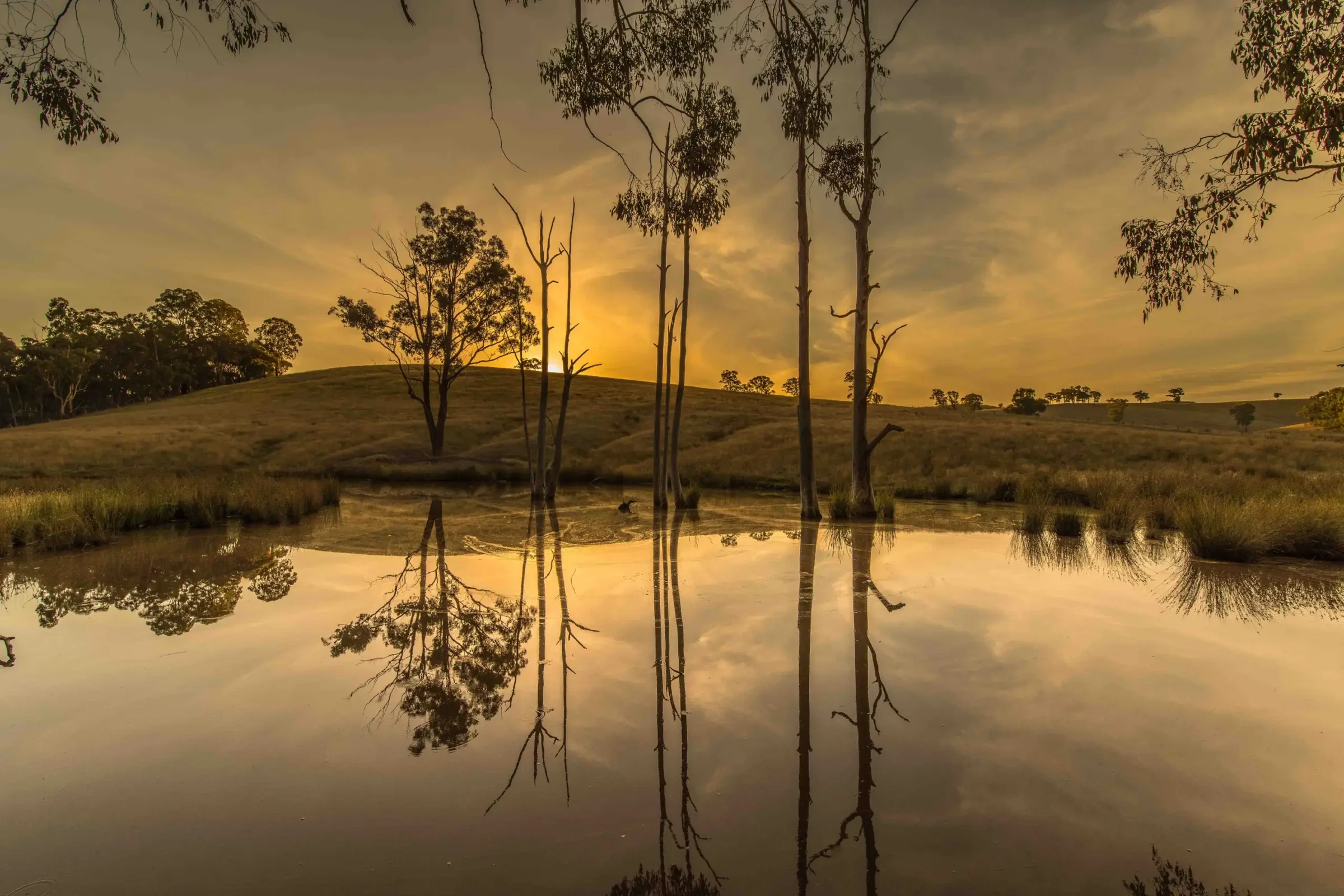Photograph by Russell Curr