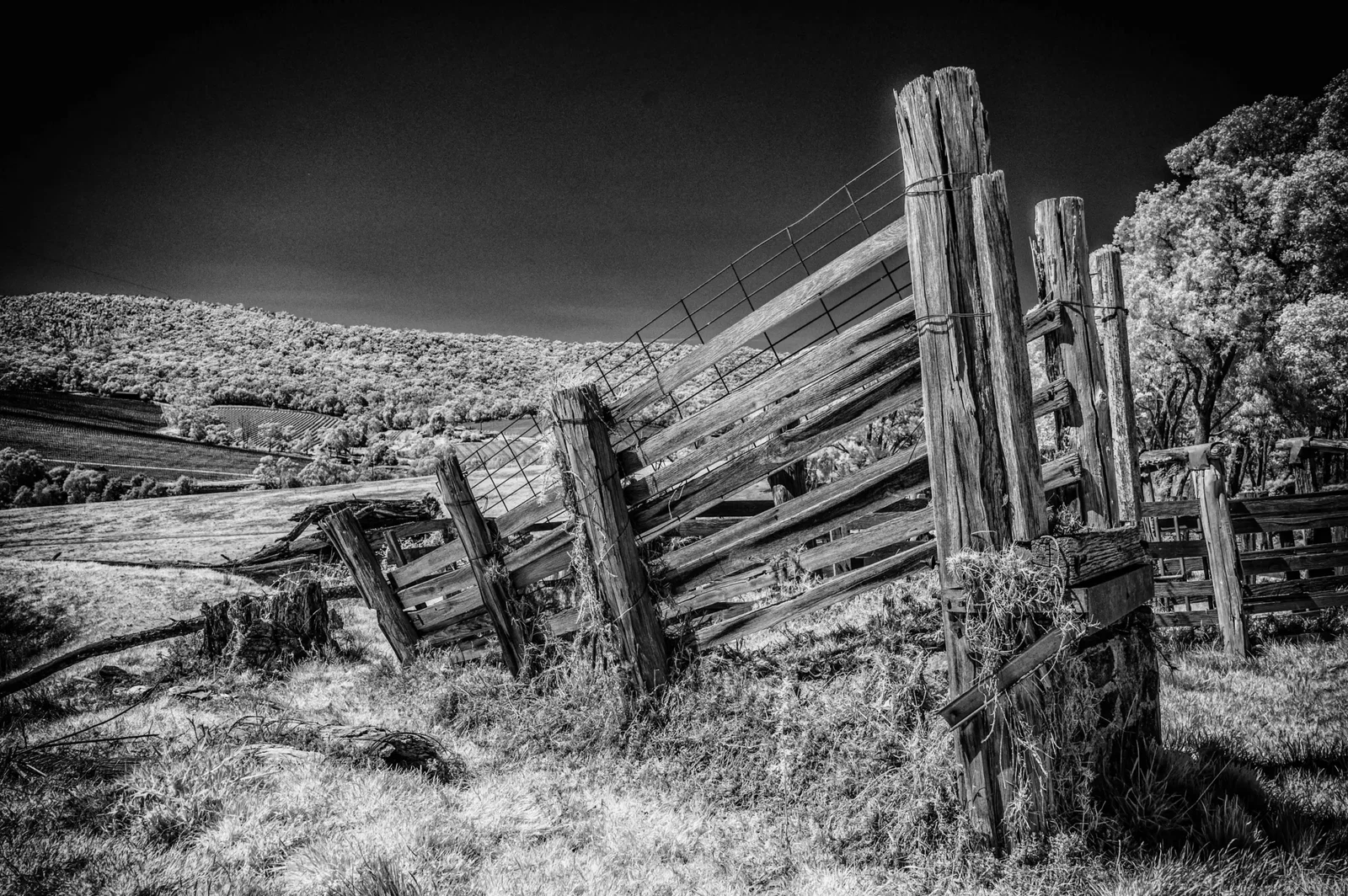 Monochrome by Russell Curr