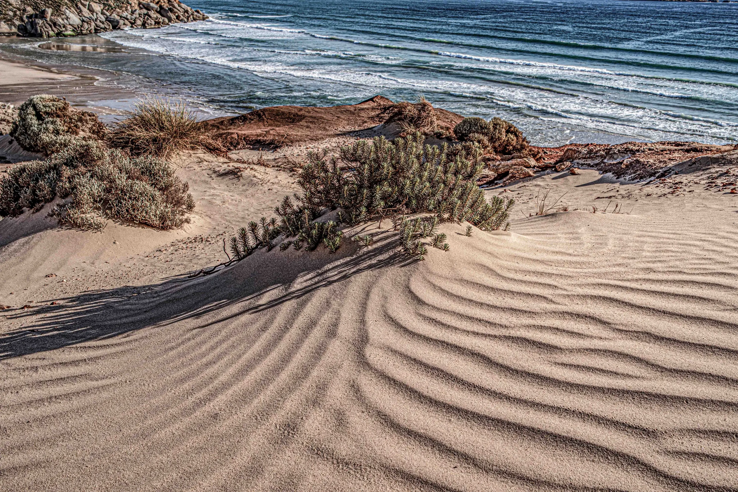 Shadows by Russell Curr