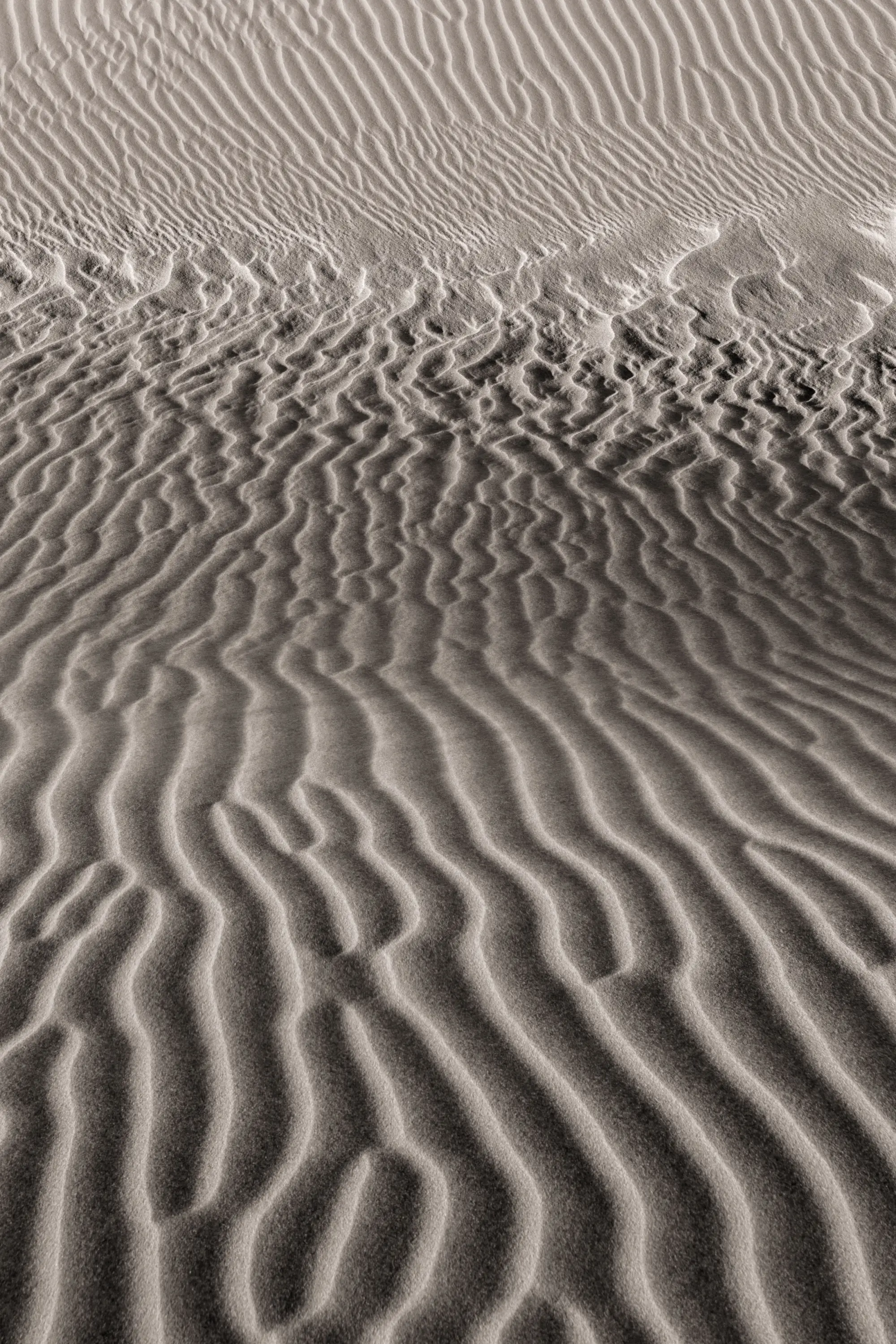 Shadows by Russell Curr