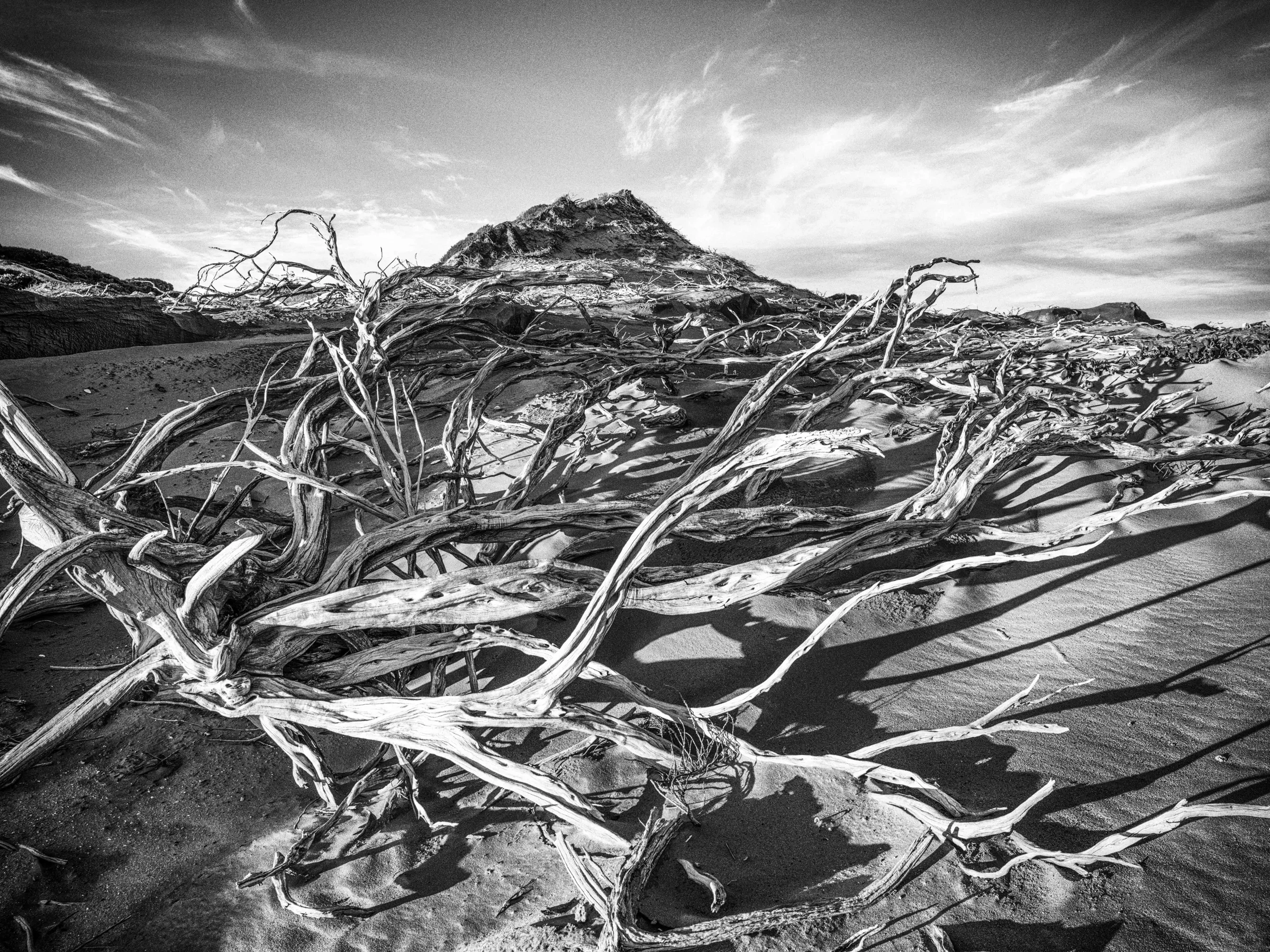 Monochrome by Russell Curr
