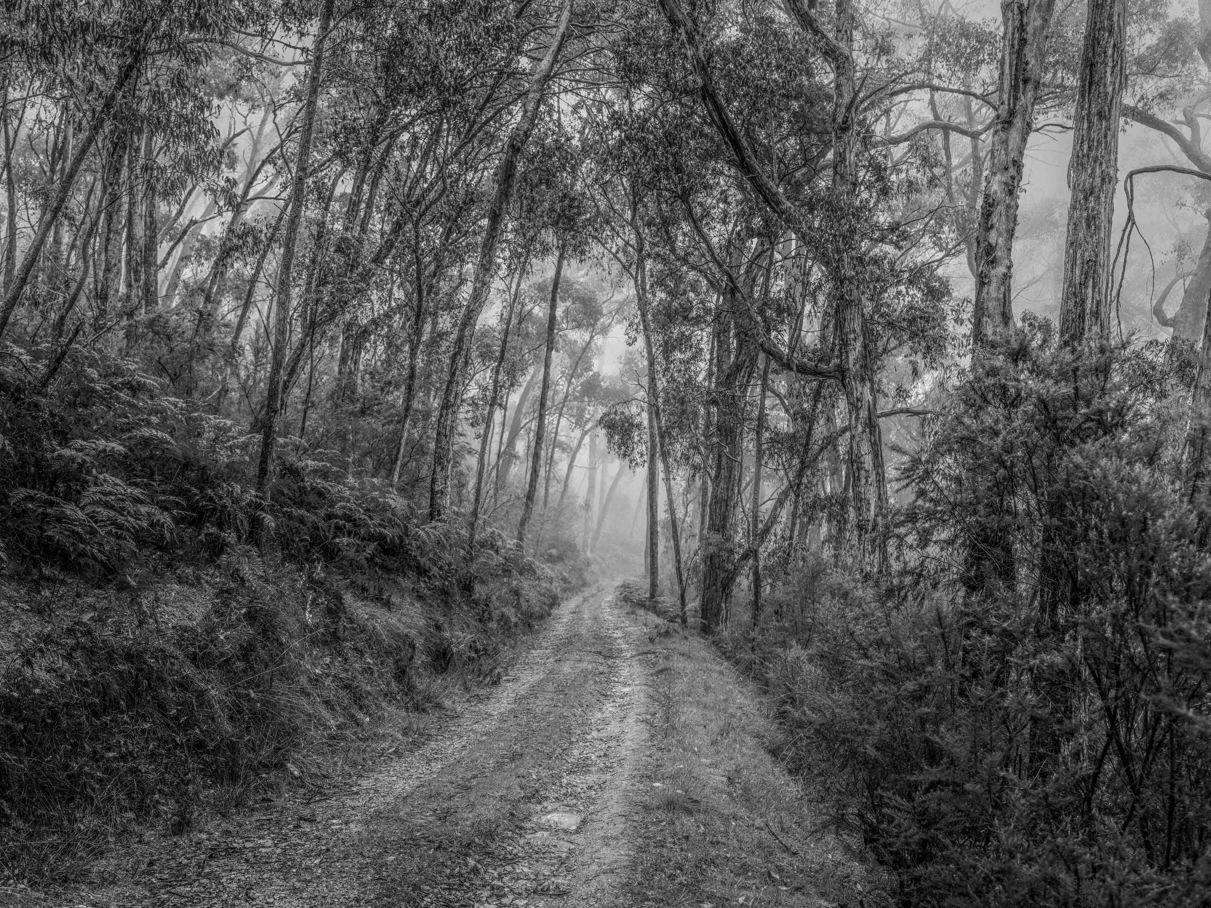 Monochrome by Russell Curr