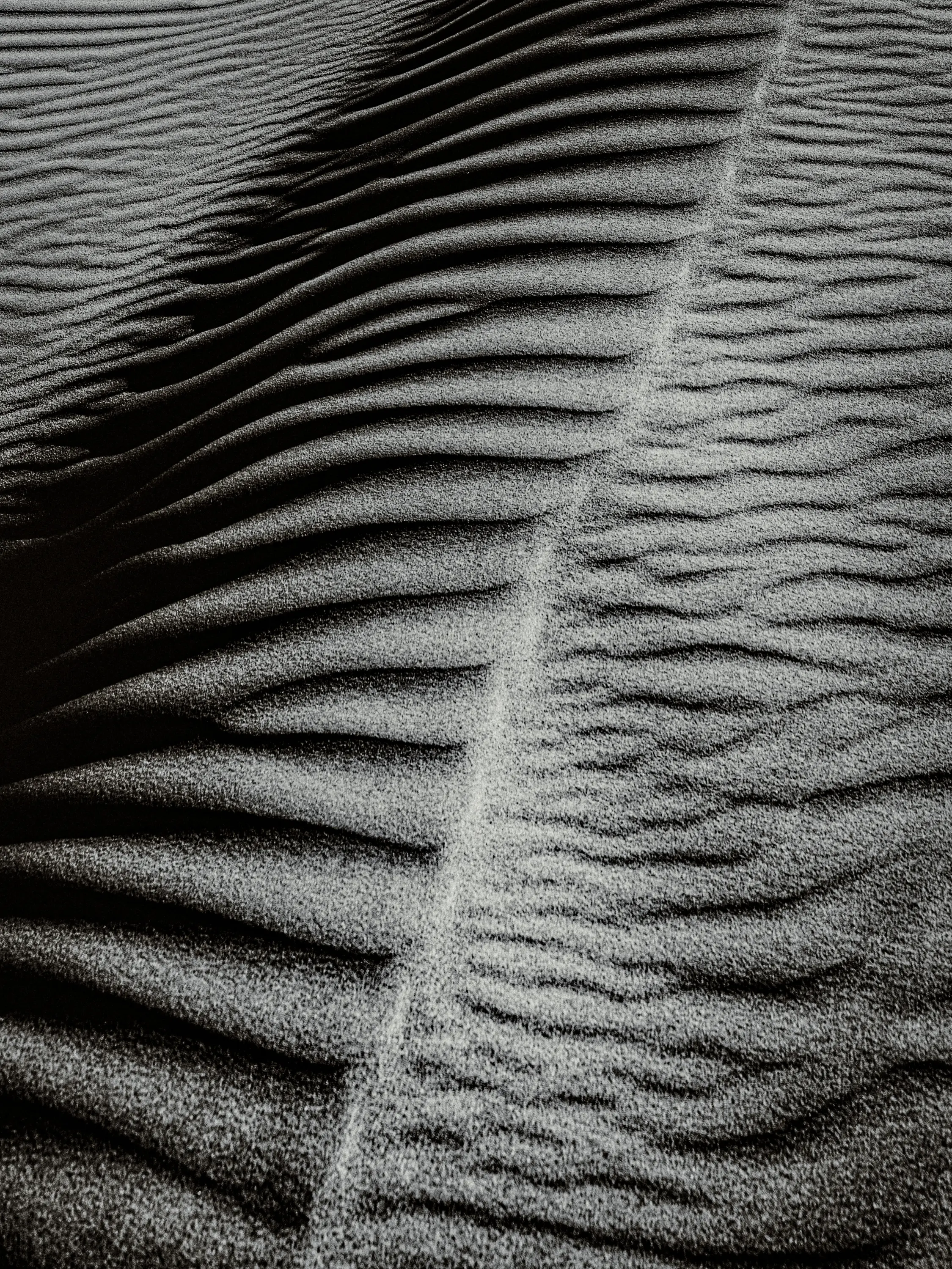 Shadows by Russell Curr