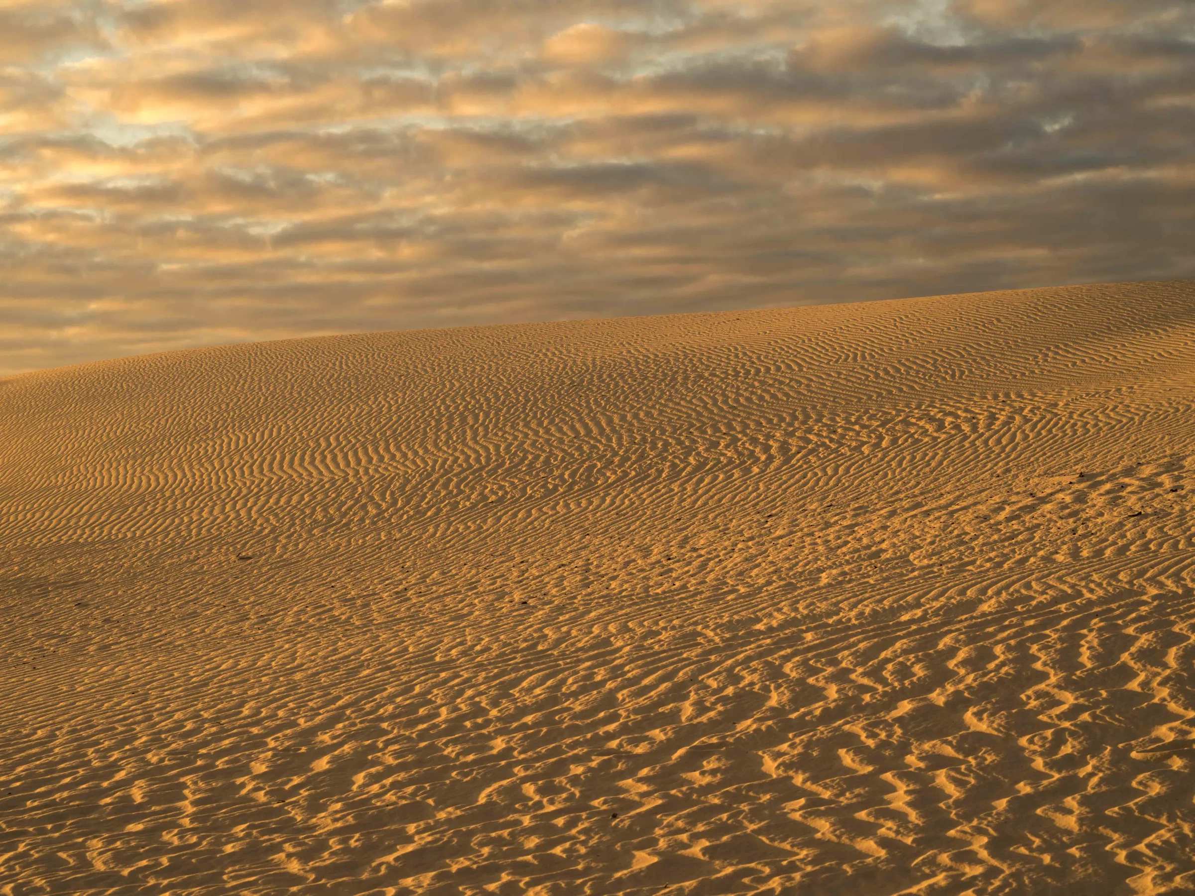 Shadows by Russell Curr