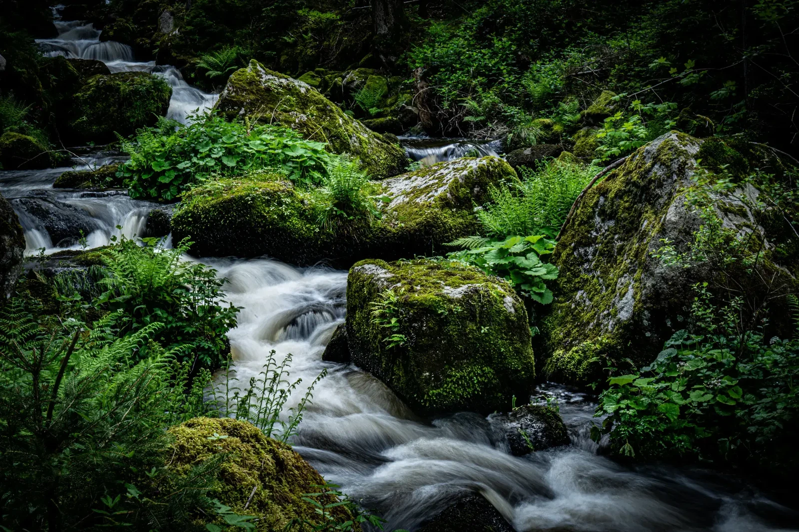 Silk and Stone by Christina Trester