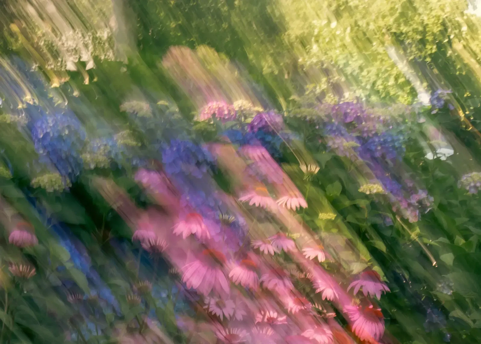 A Summer Garden by Christina Bedetta Willett